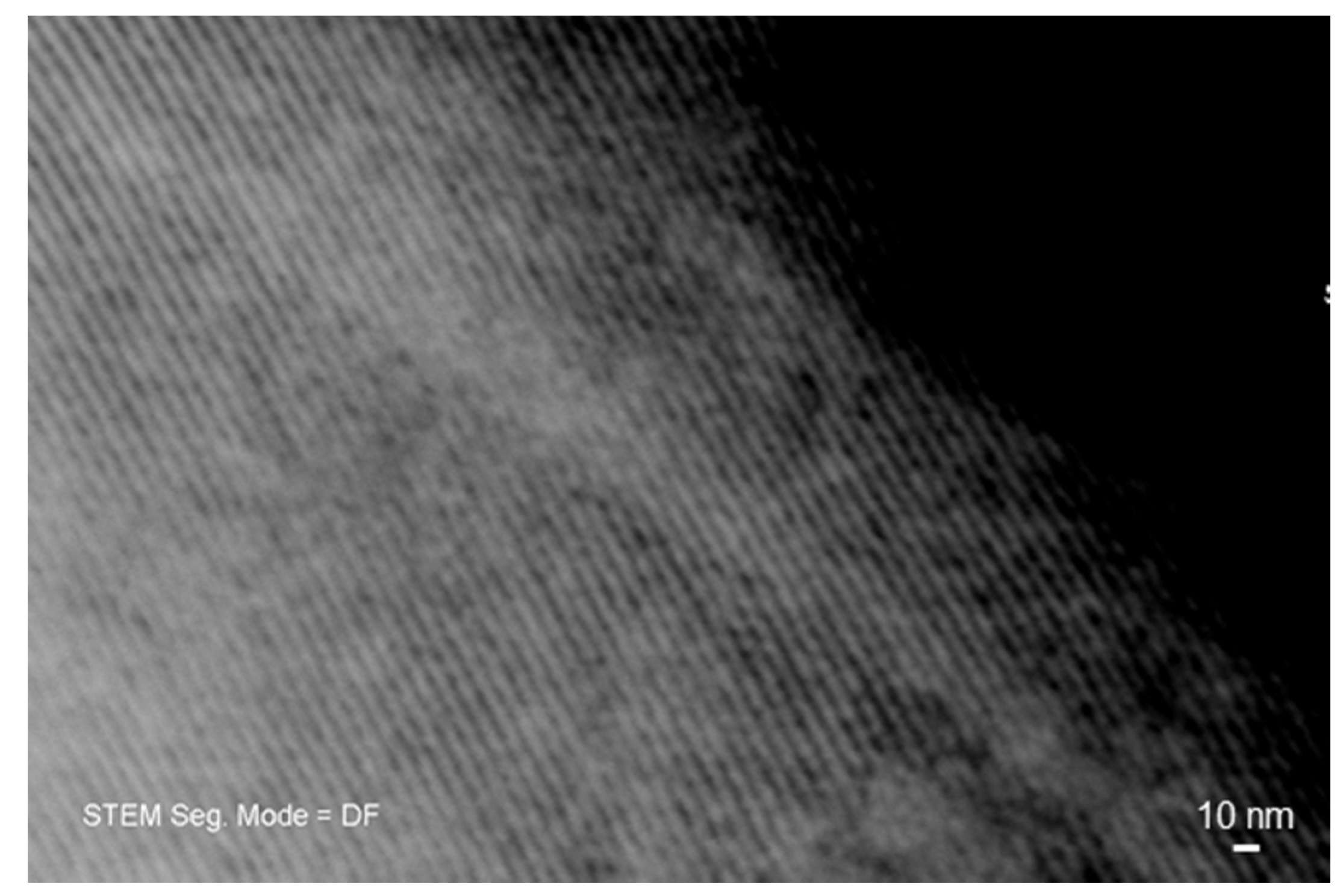 Bioengineering 07 00045 g004