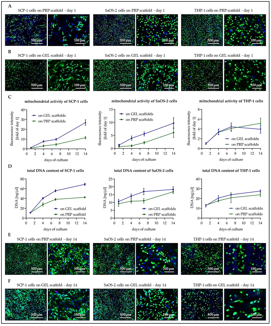 Bioengineering 07 00052 g004