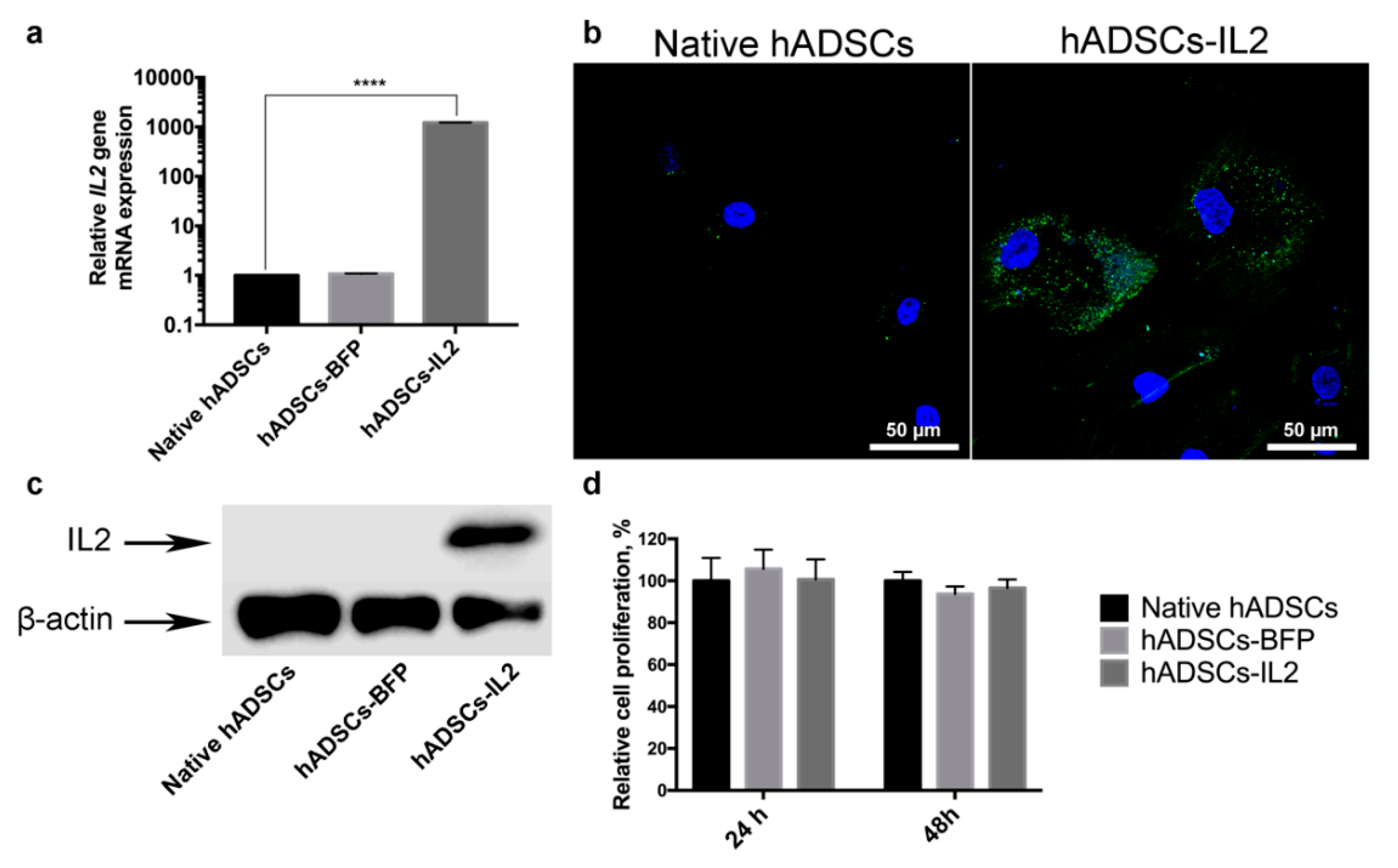 Bioengineering 07 00059 g001