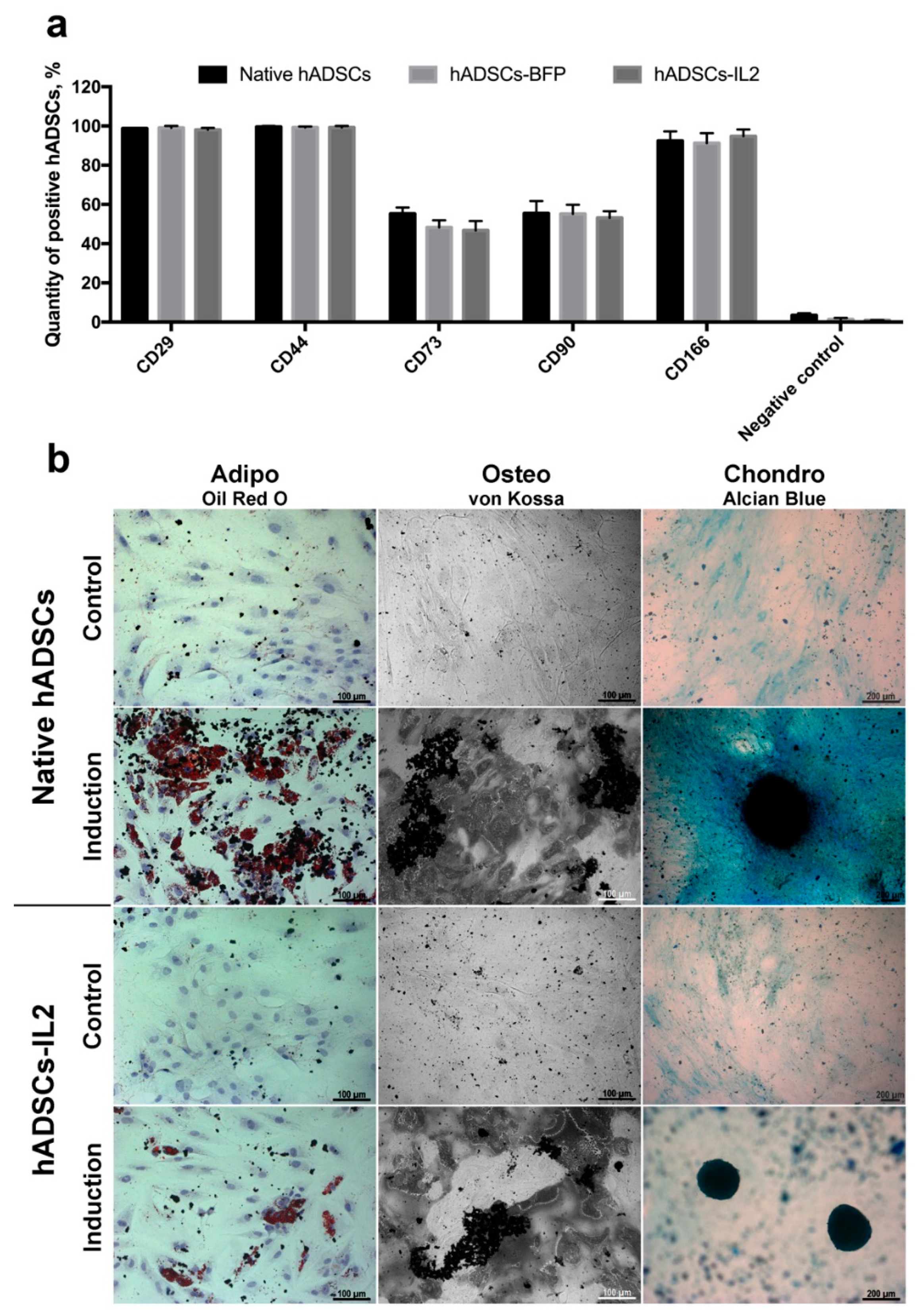 Bioengineering 07 00059 g002