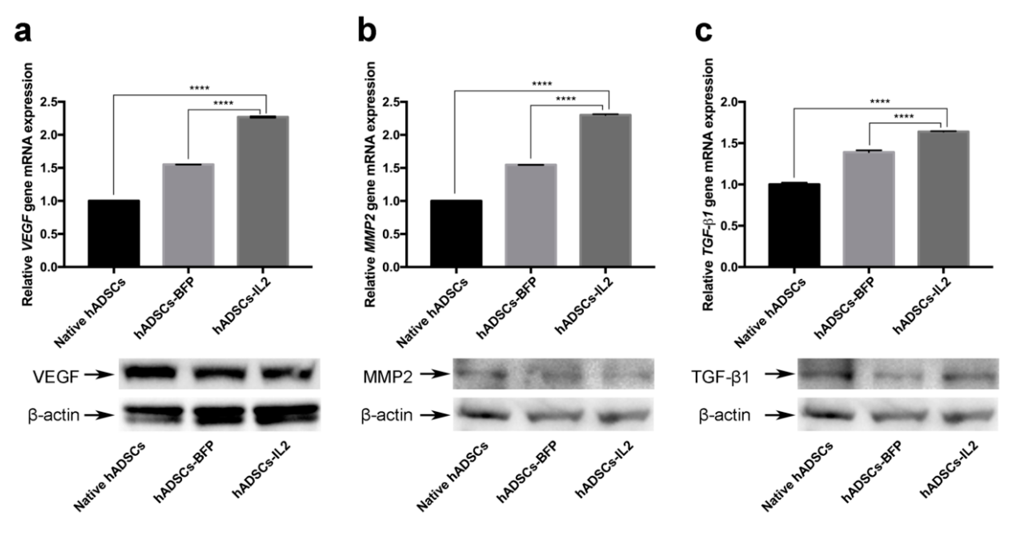 Bioengineering 07 00059 g006