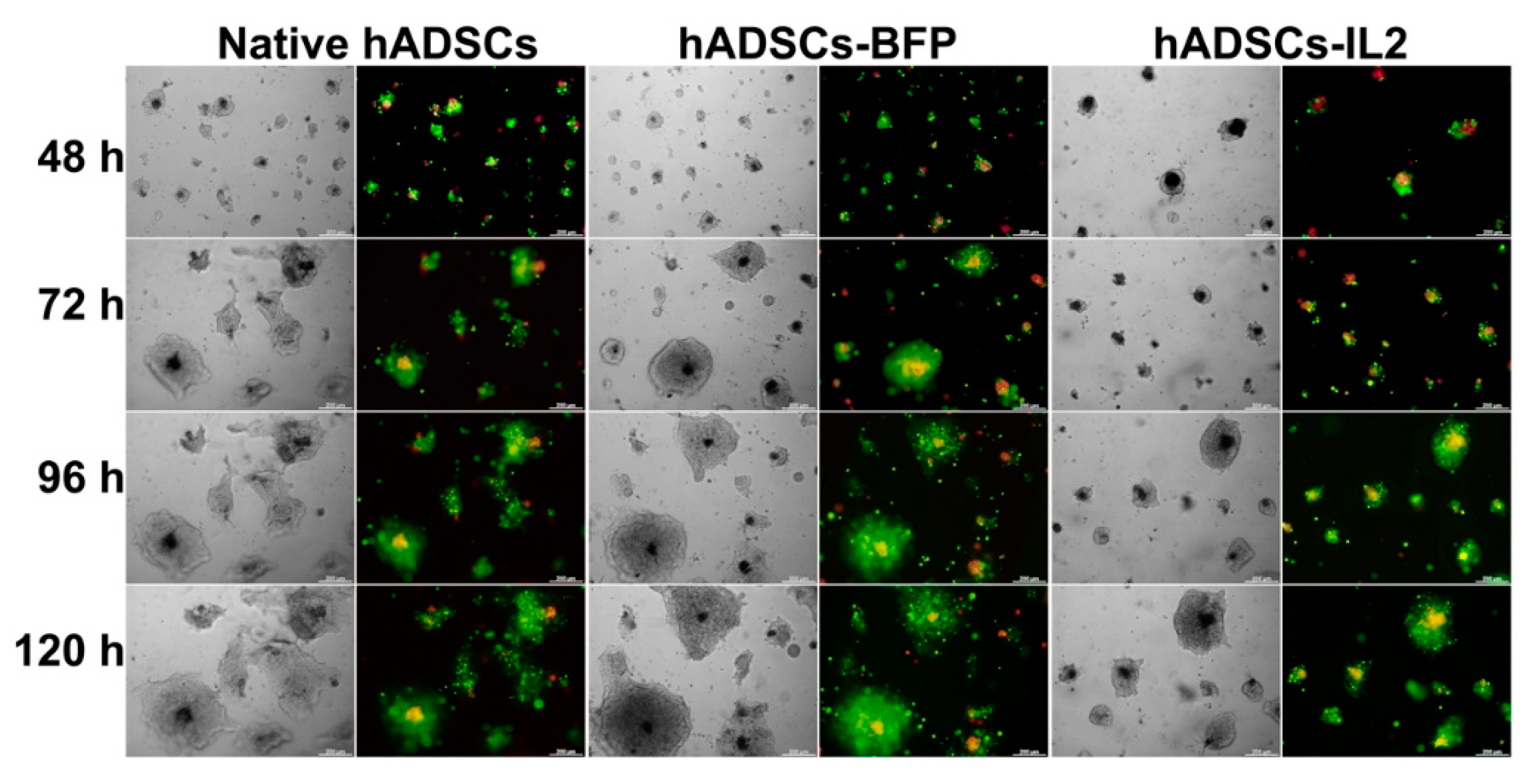 Bioengineering 07 00059 g009