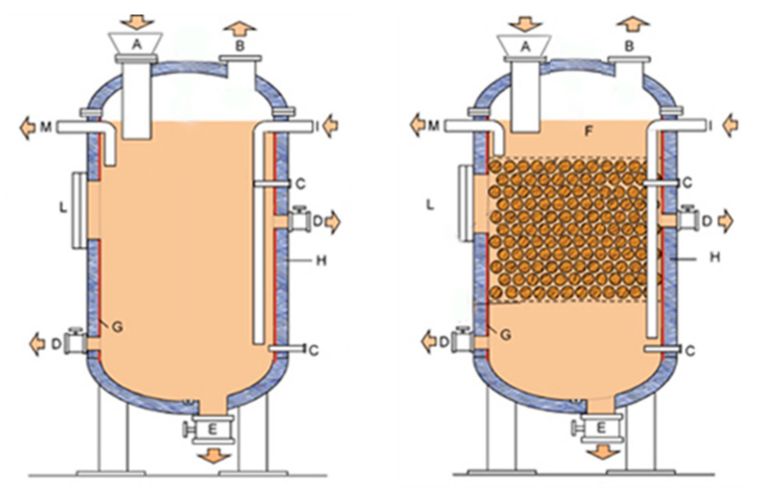 Bioengineering 07 00063 g001
