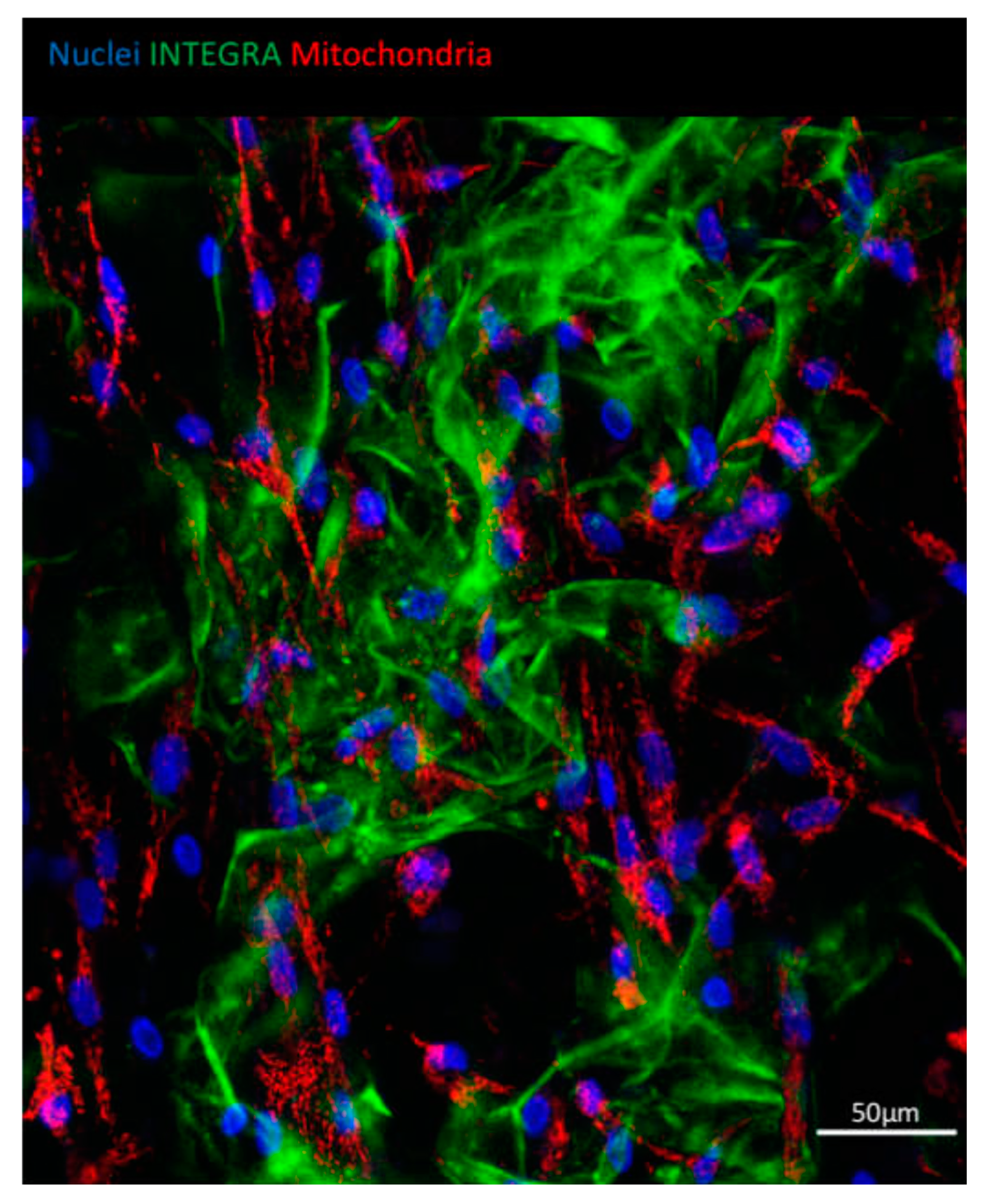 Bioengineering 07 00067 g003 Bioengineering 07 00067 g003