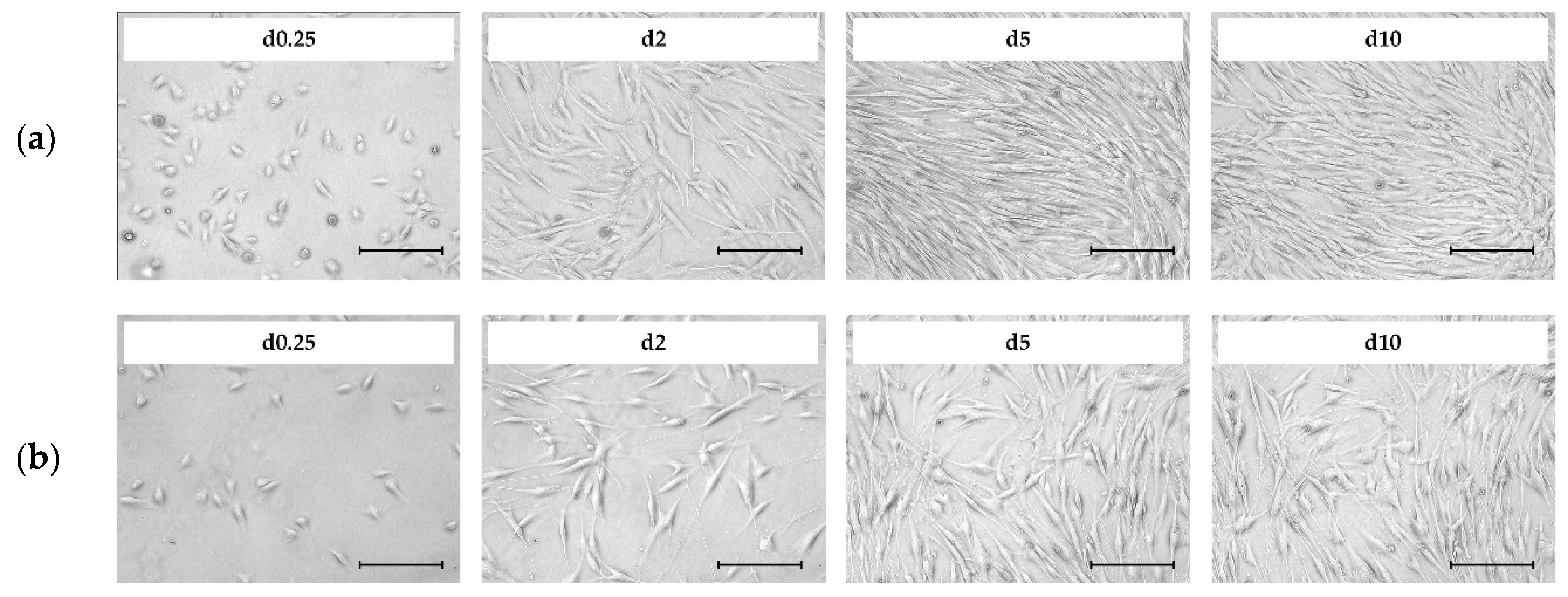 Bioengineering 07 00077 g002 Bioengineering 07 00077 g002
