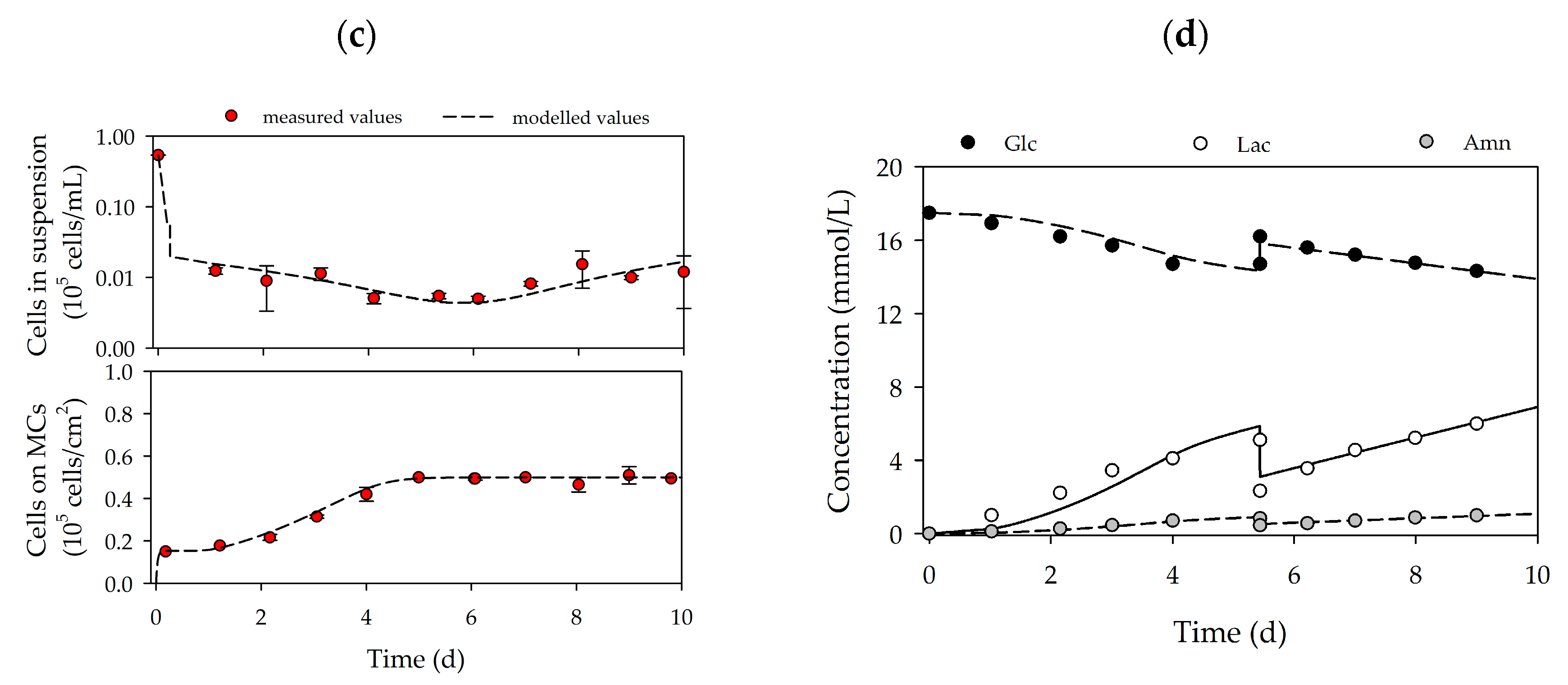 Bioengineering 07 00077 g004b Bioengineering 07 00077 g004b