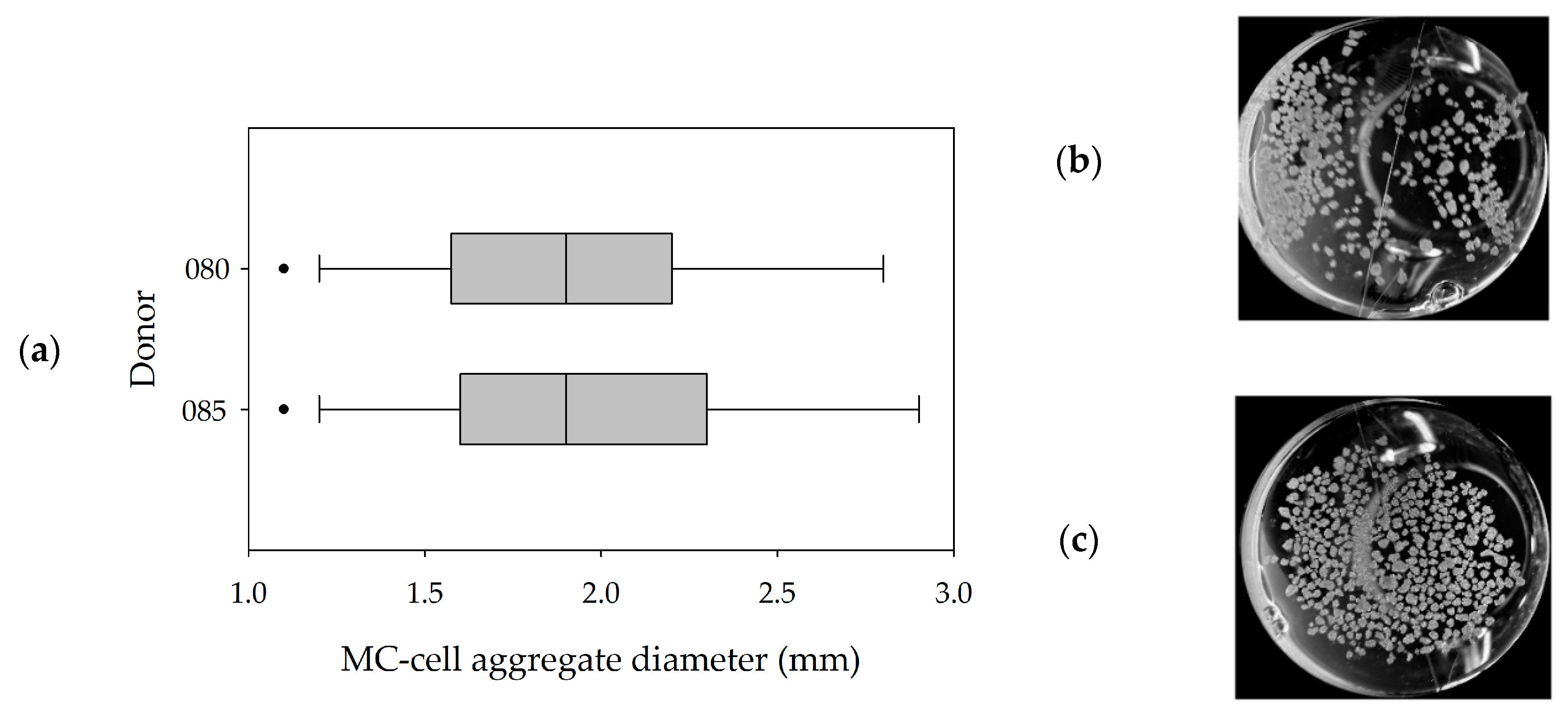 Bioengineering 07 00077 g006 Bioengineering 07 00077 g006