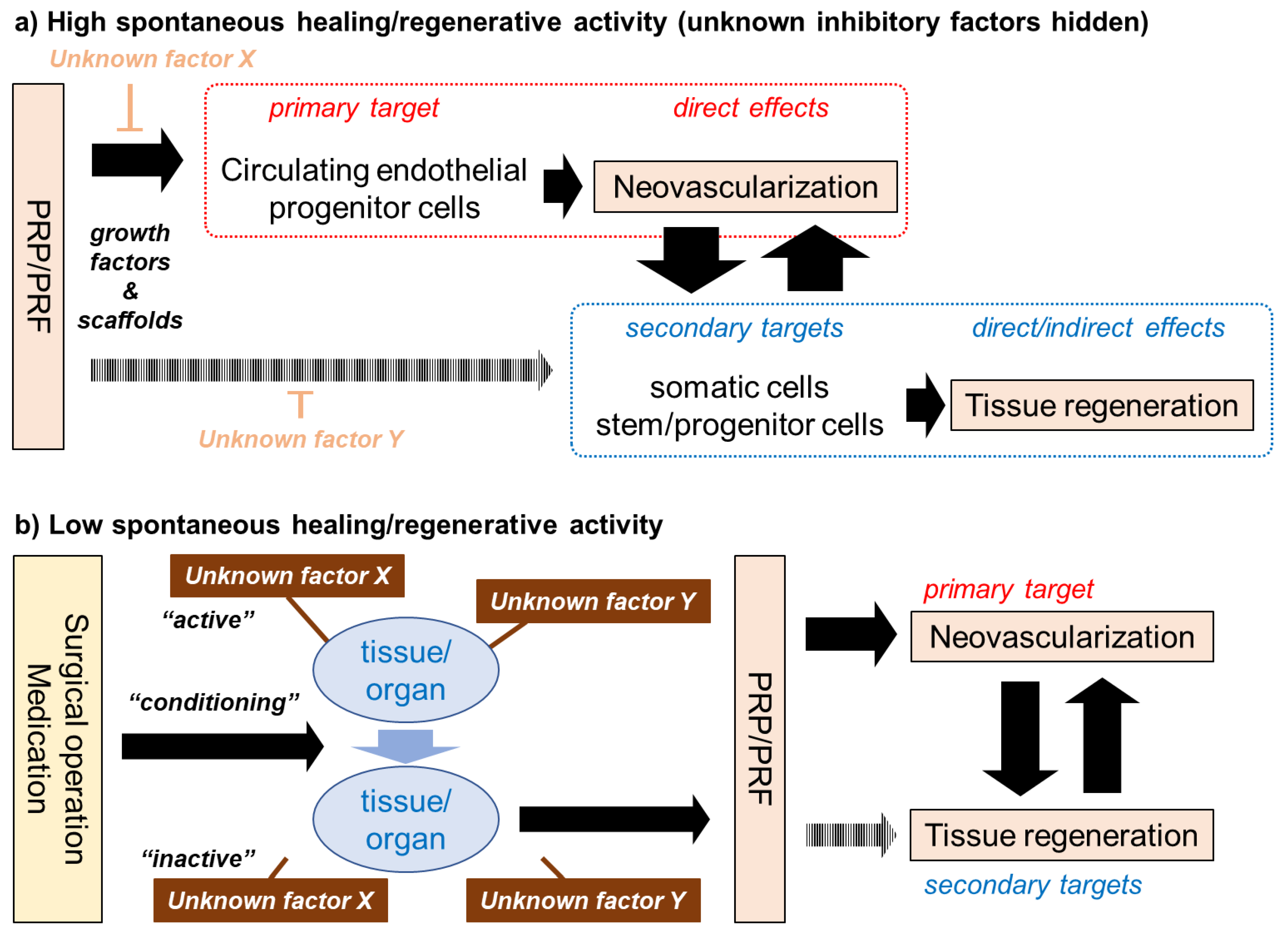 Bioengineering 07 00082 g004
