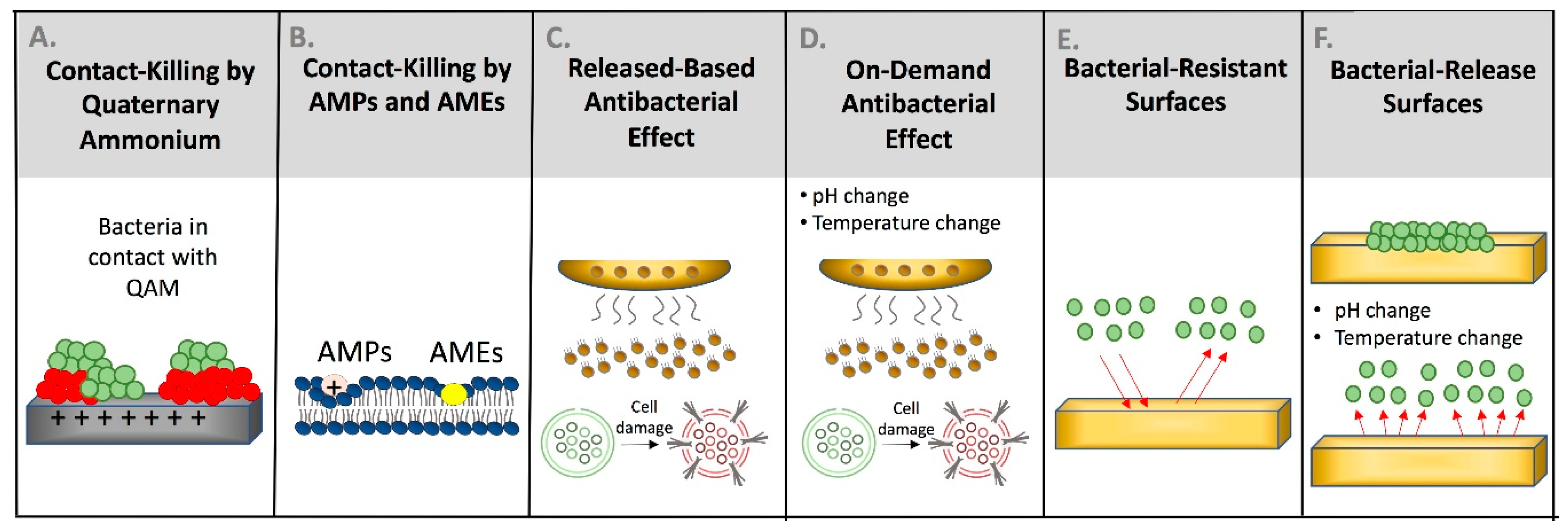 Bioengineering 07 00083 g004 Bioengineering 07 00083 g004