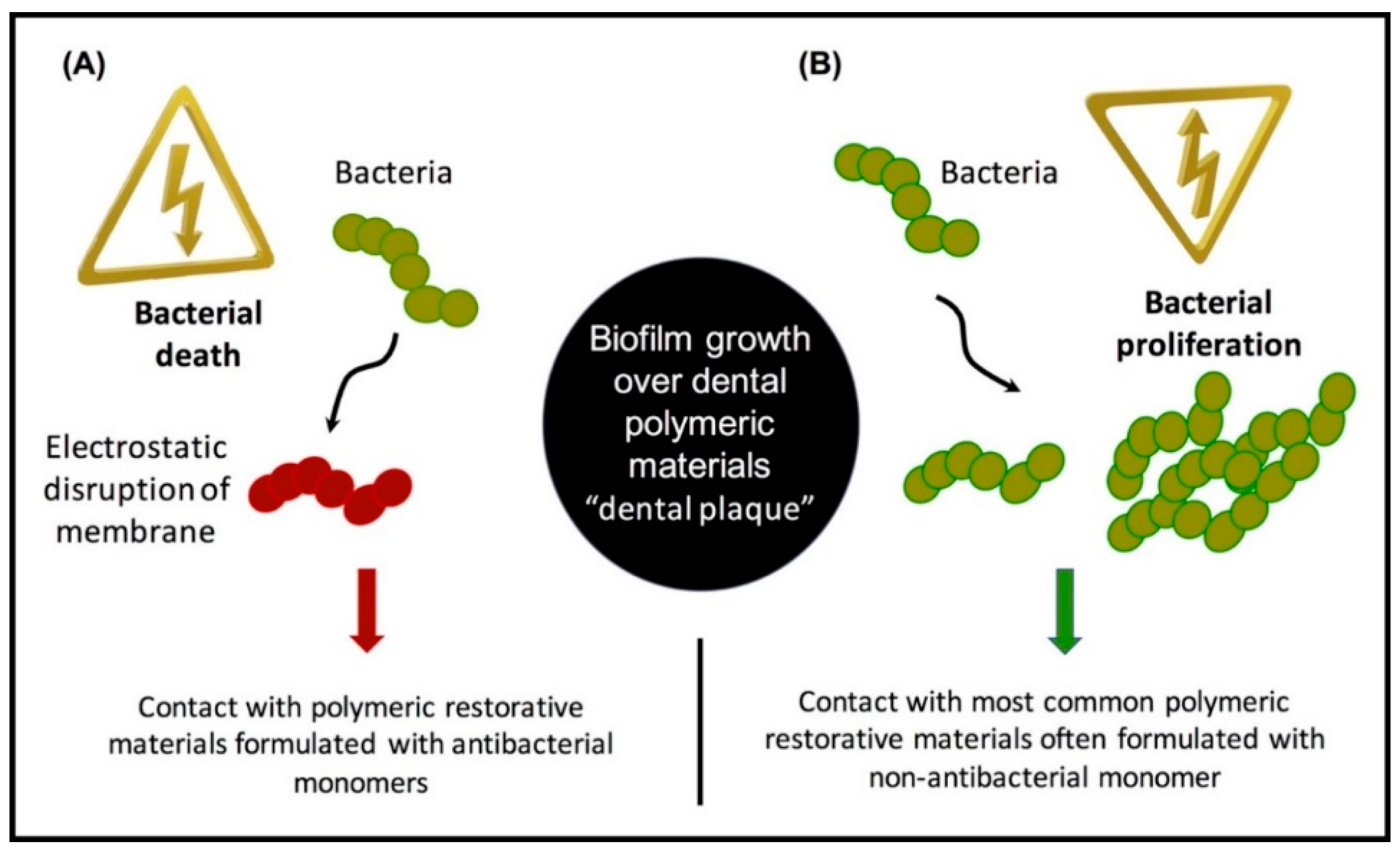 Bioengineering 07 00083 g005 Bioengineering 07 00083 g005