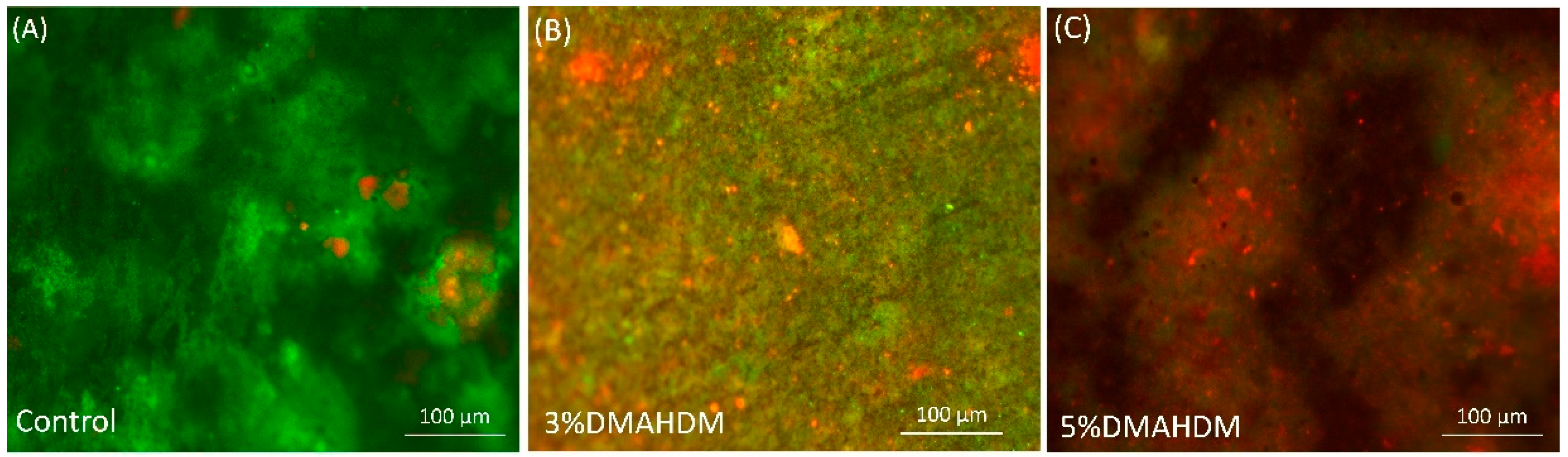 Bioengineering 07 00083 g007 Bioengineering 07 00083 g007