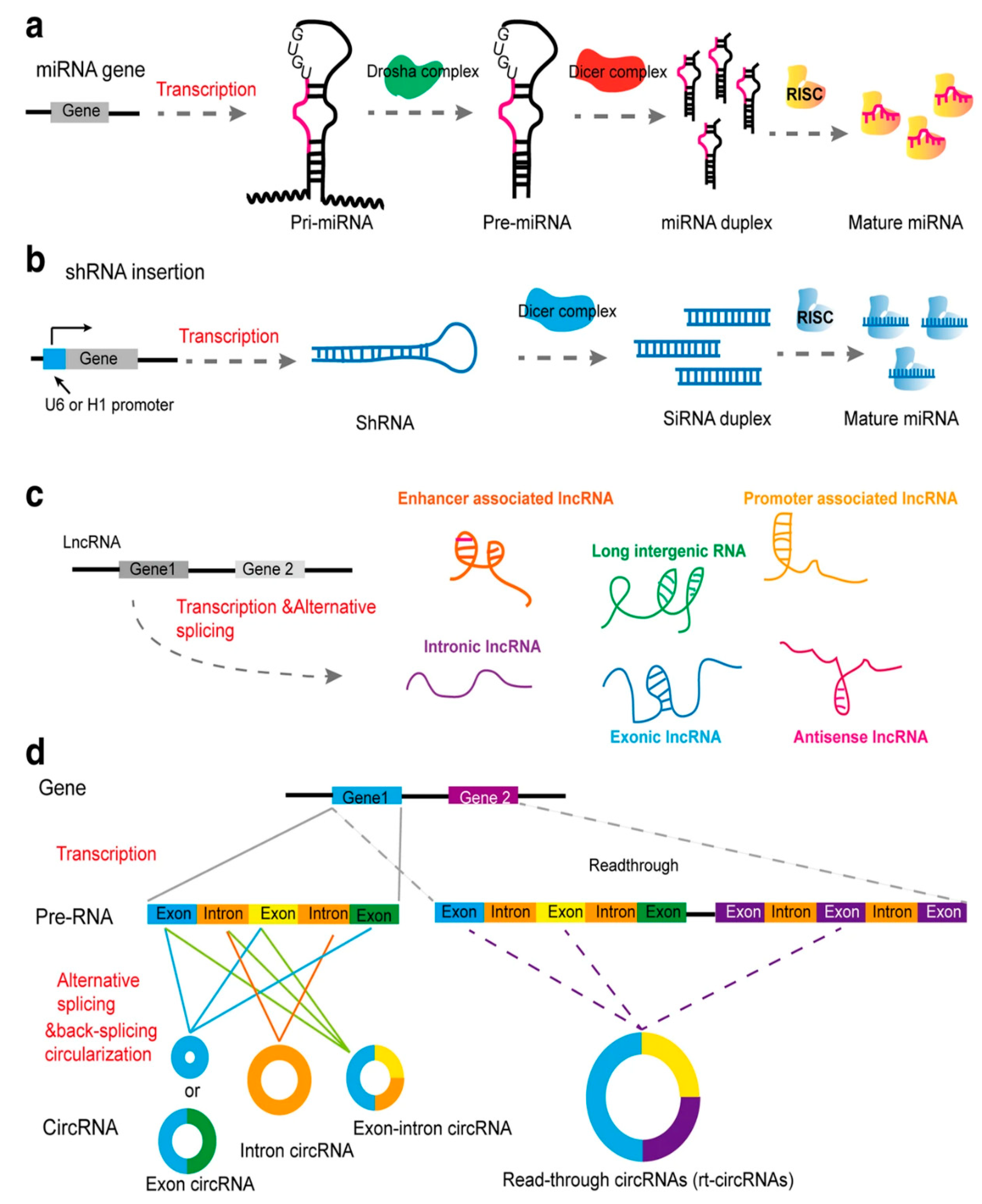 Bioengineering 07 00091 g001