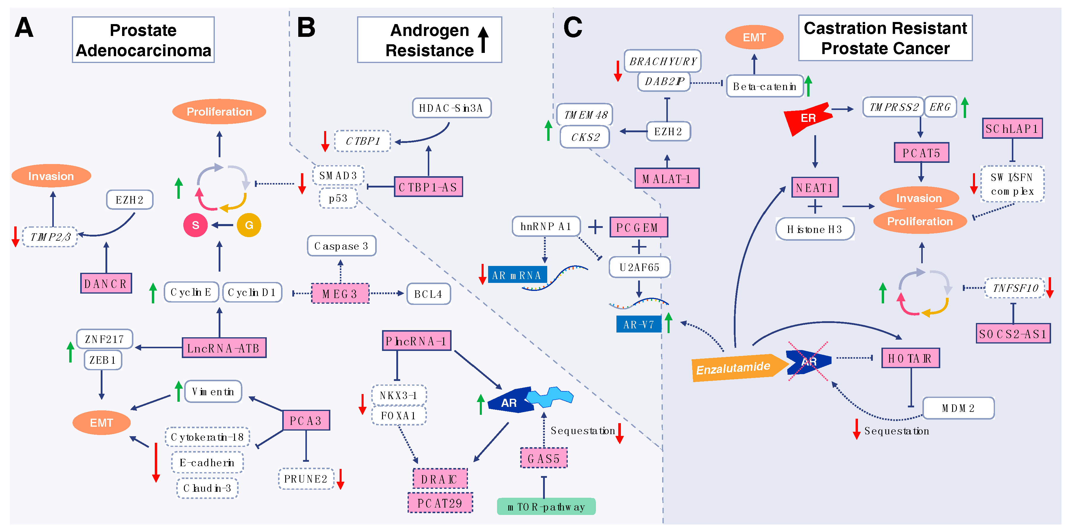 Bioengineering 07 00091 g002