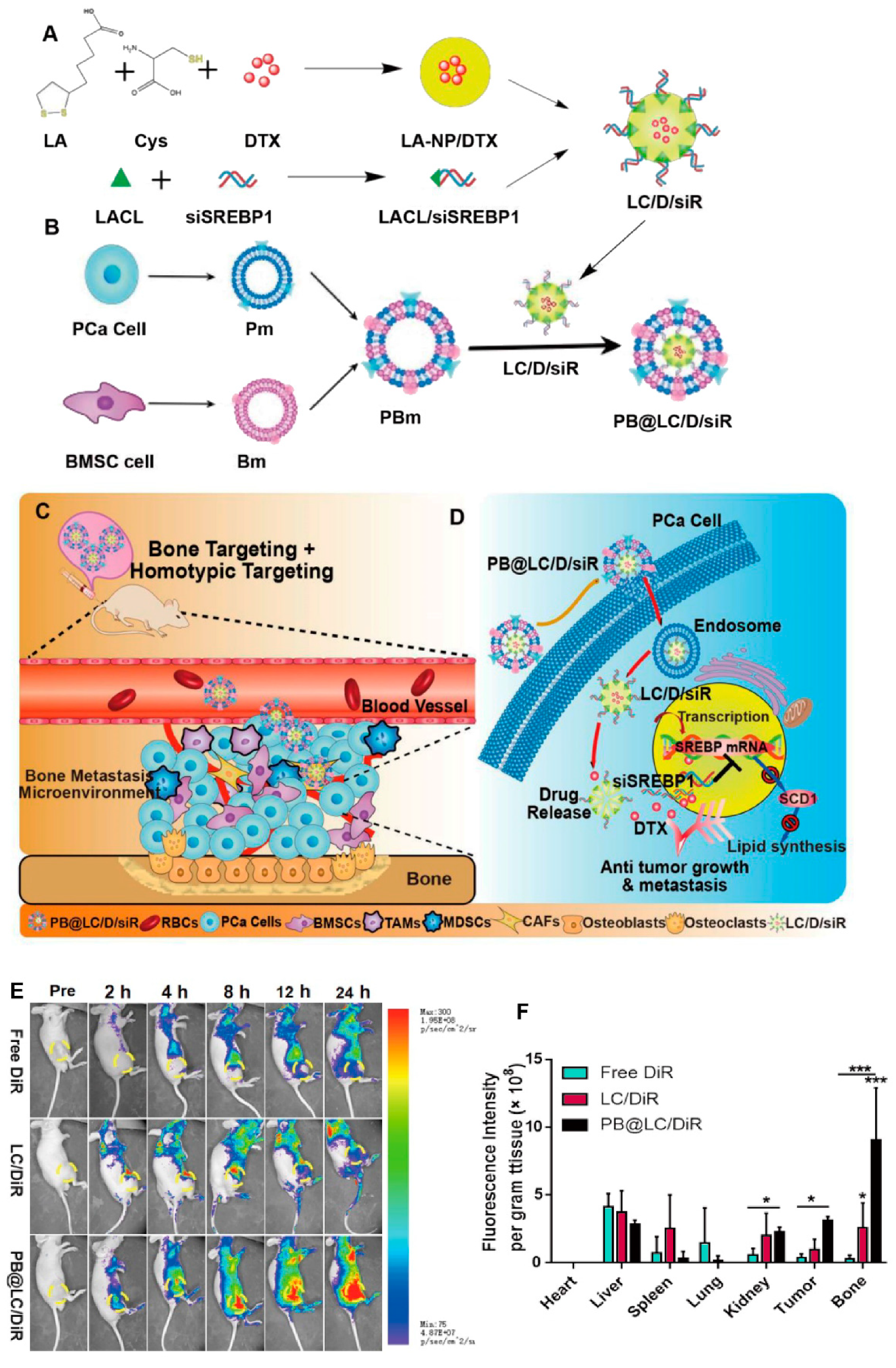 Bioengineering 07 00091 g006