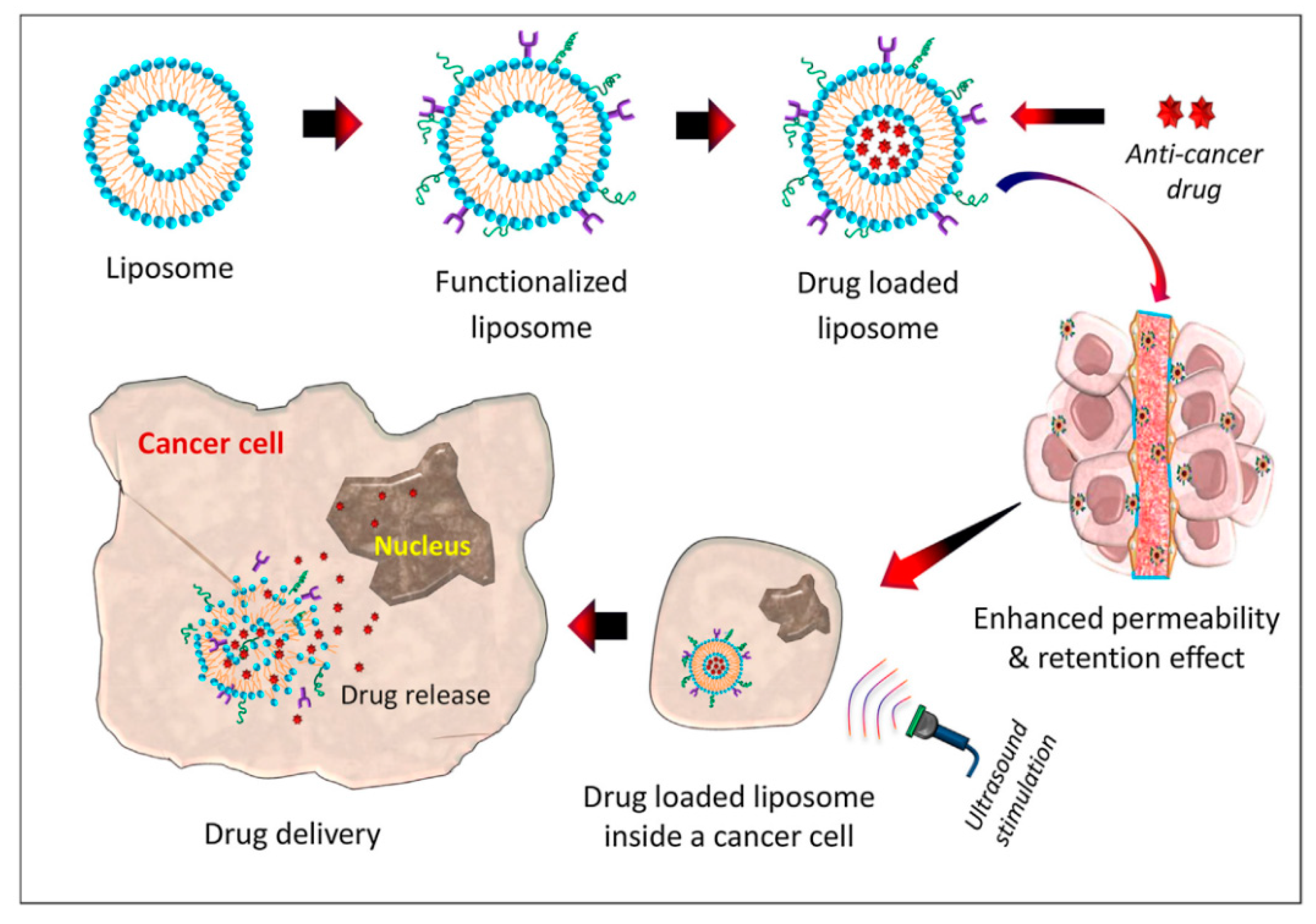 Bioengineering 07 00091 g007