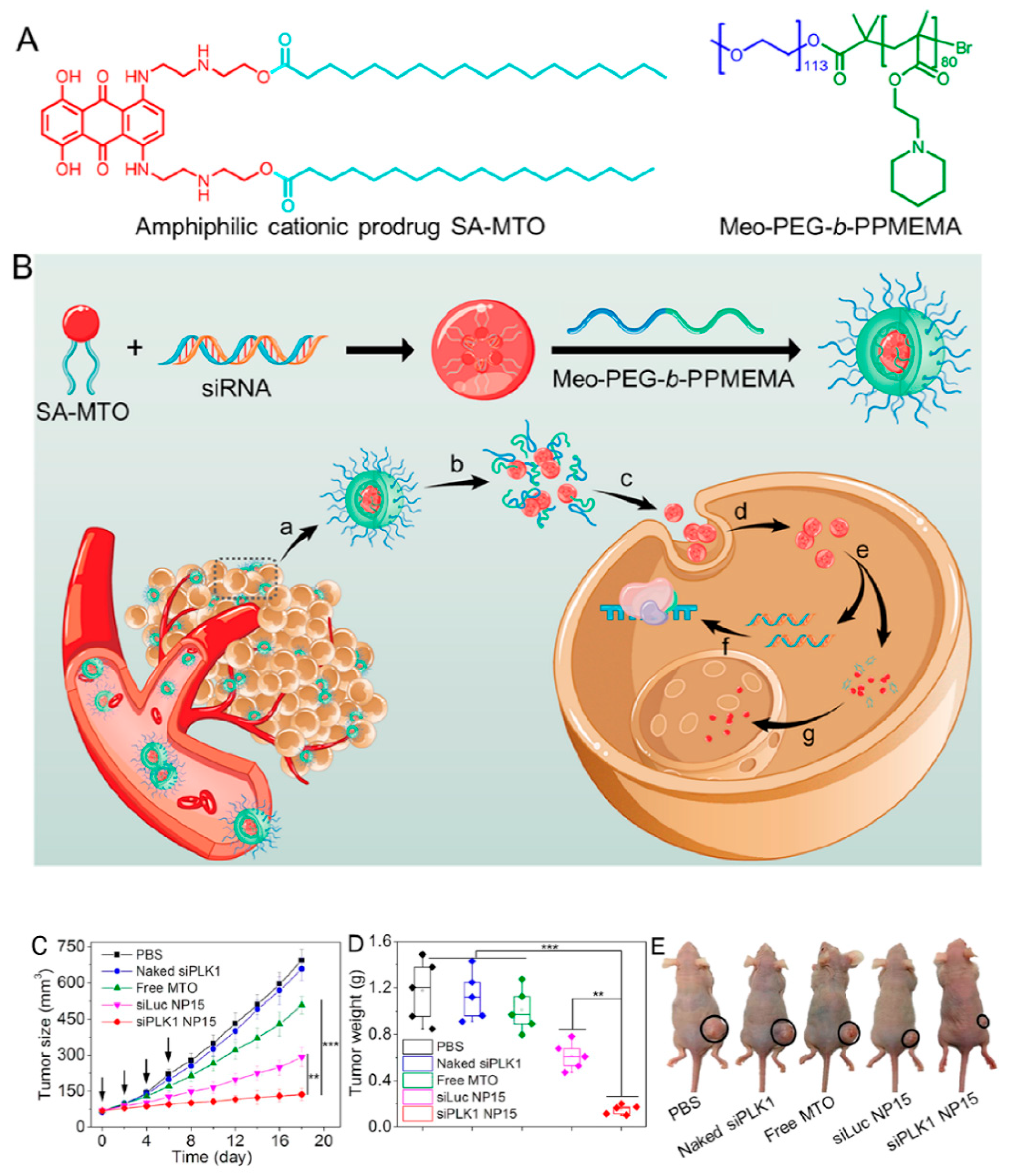 Bioengineering 07 00091 g009