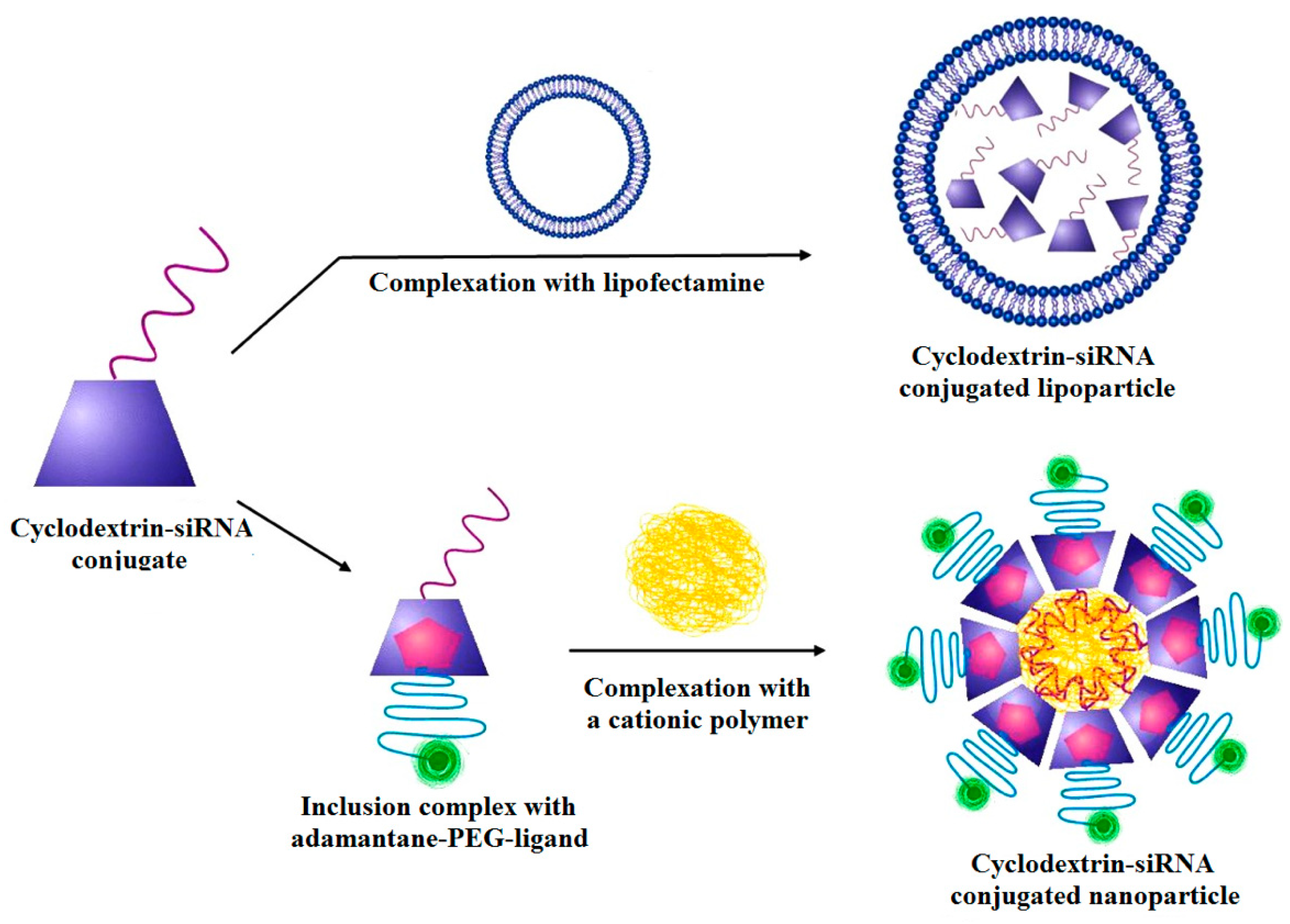 Bioengineering 07 00091 g012