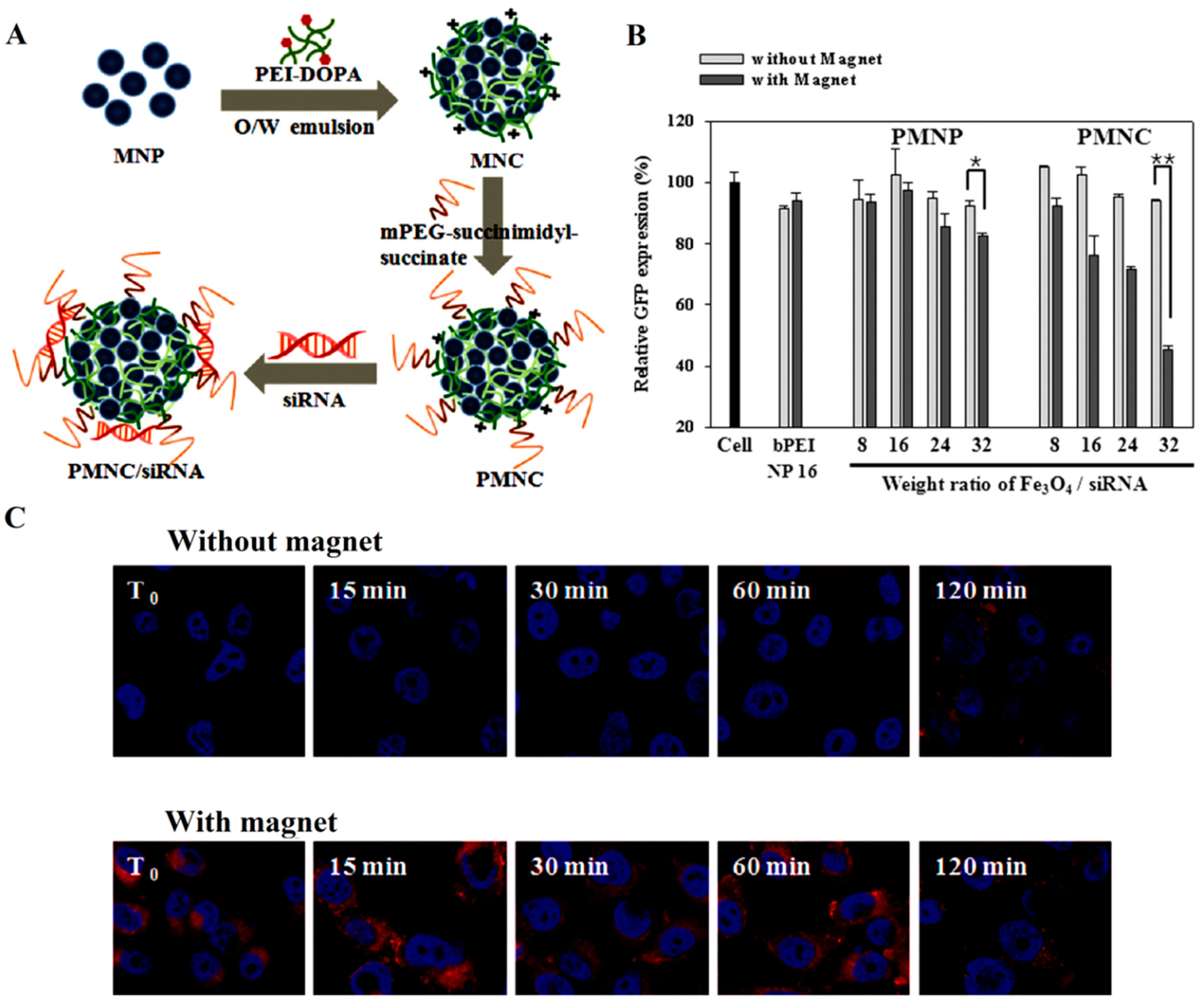 Bioengineering 07 00091 g014