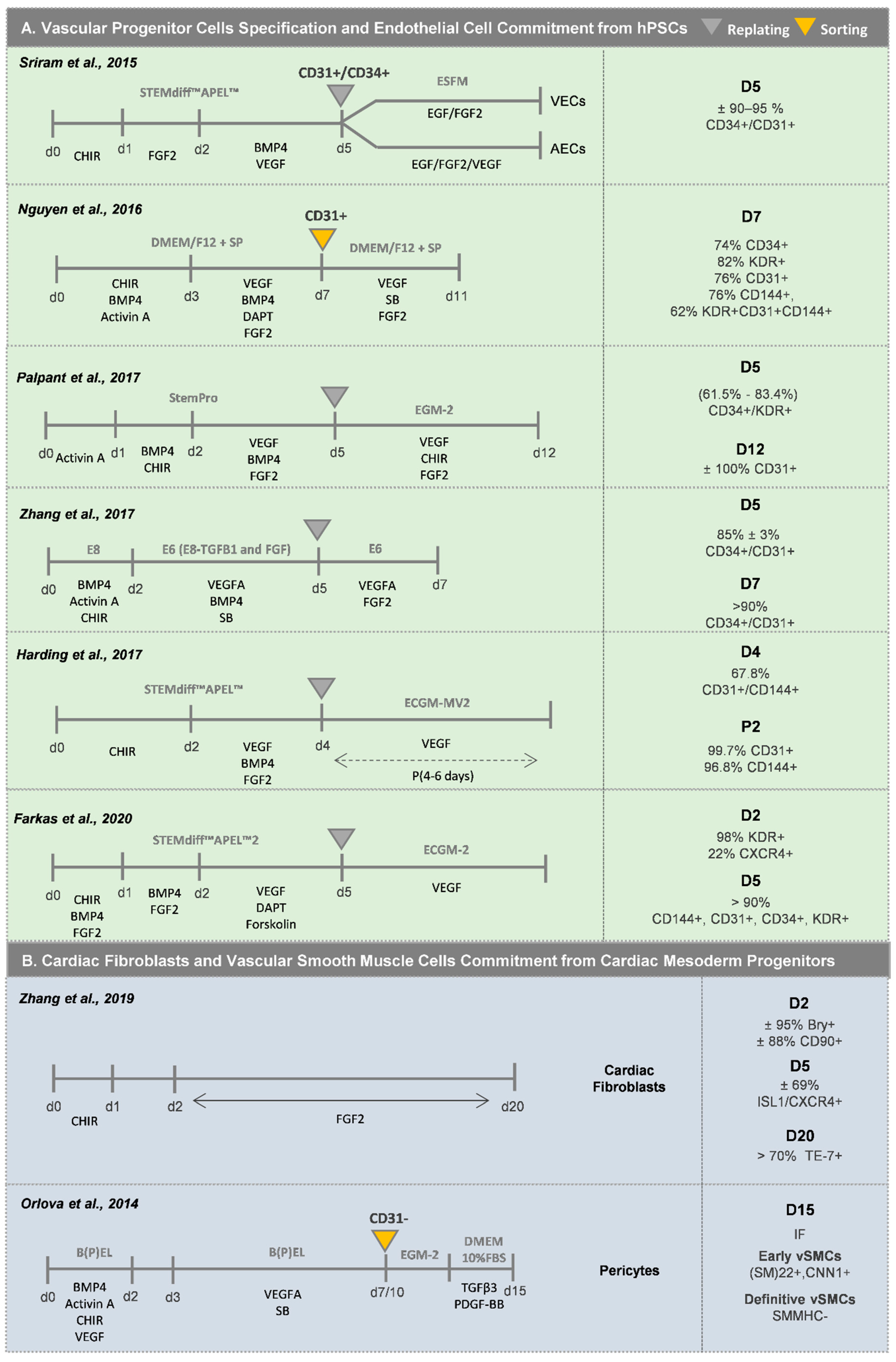 Bioengineering 07 00092 g004a Bioengineering 07 00092 g004a