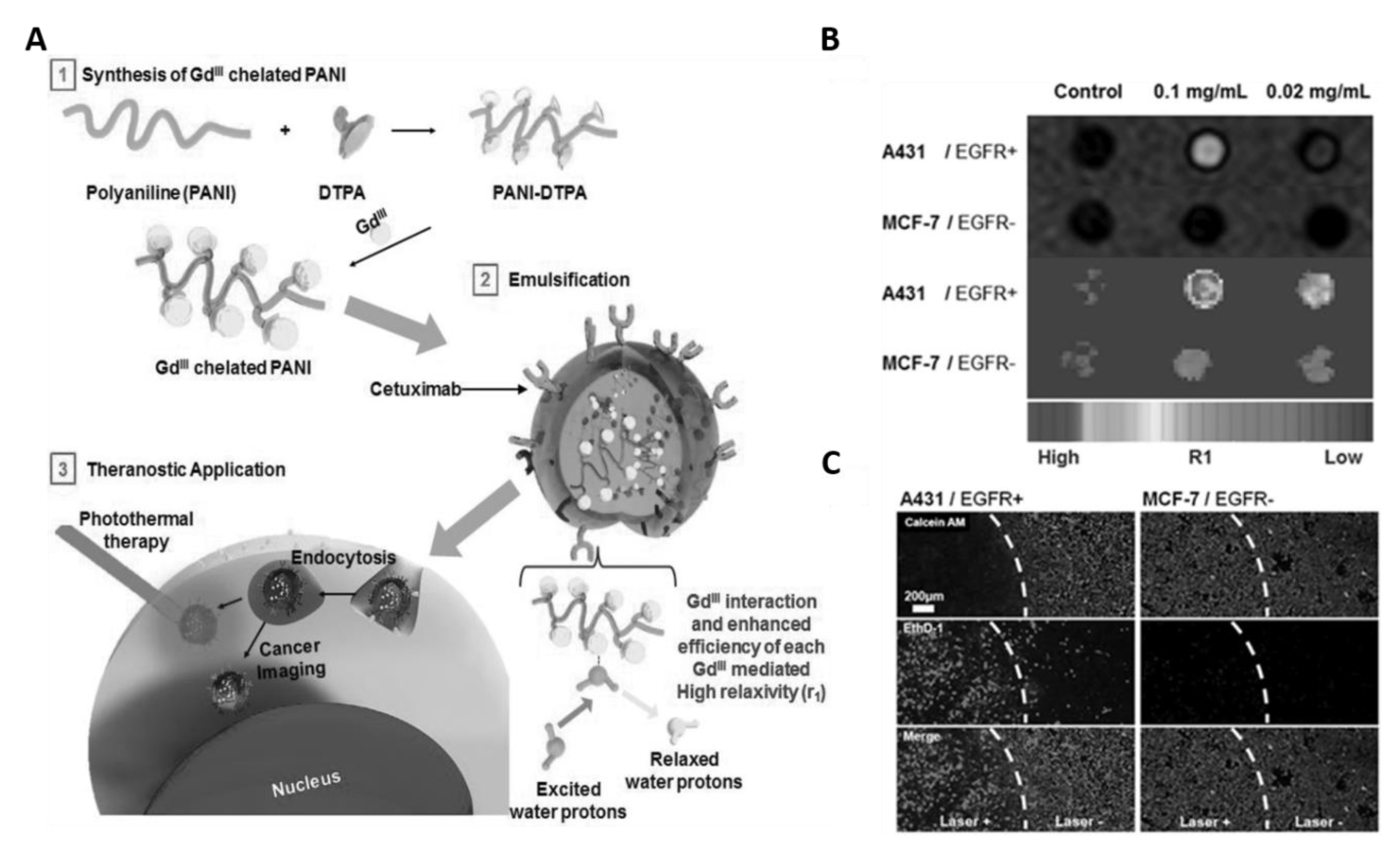 Bioengineering 07 00094 g003