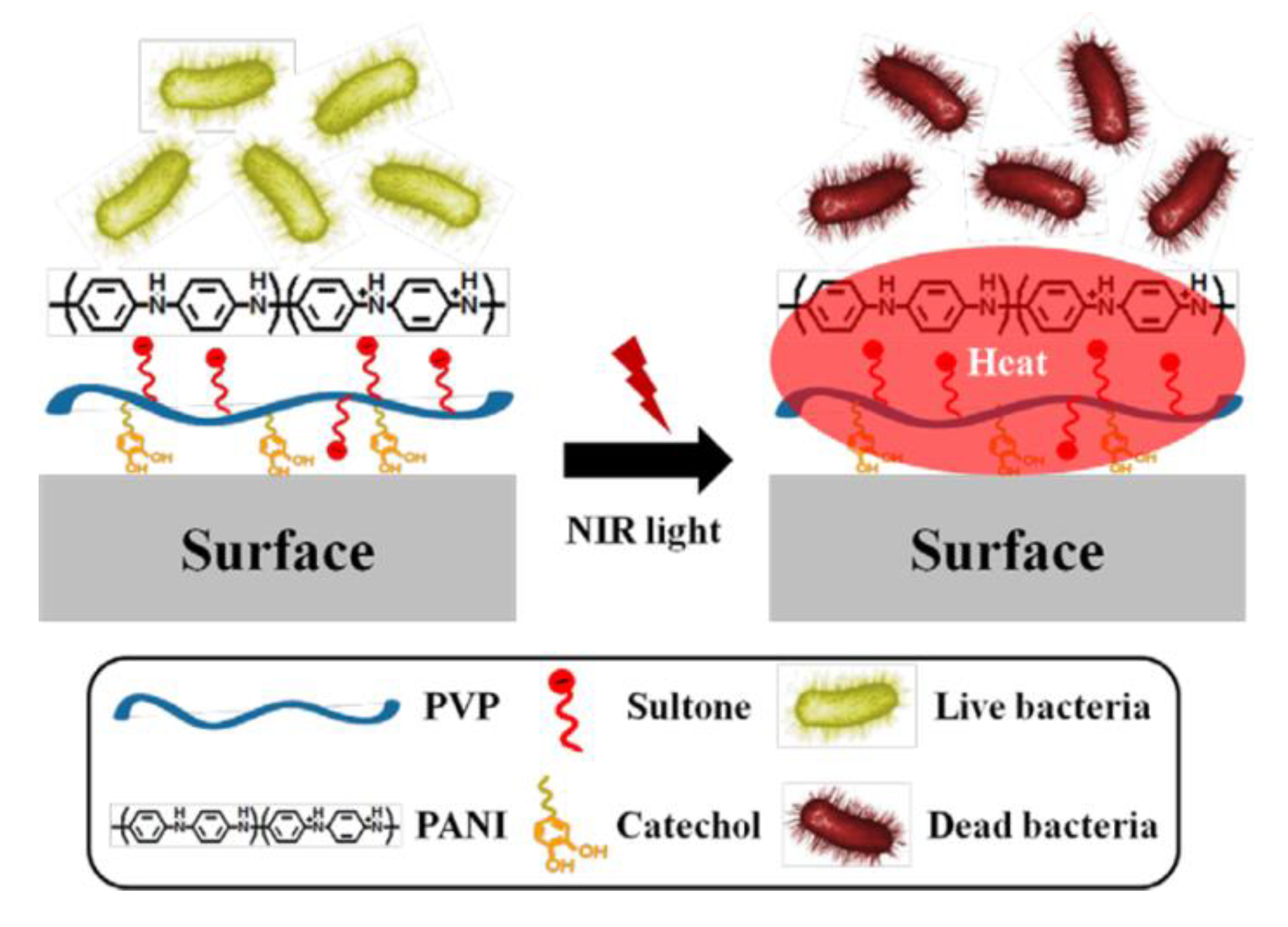 Bioengineering 07 00094 g006
