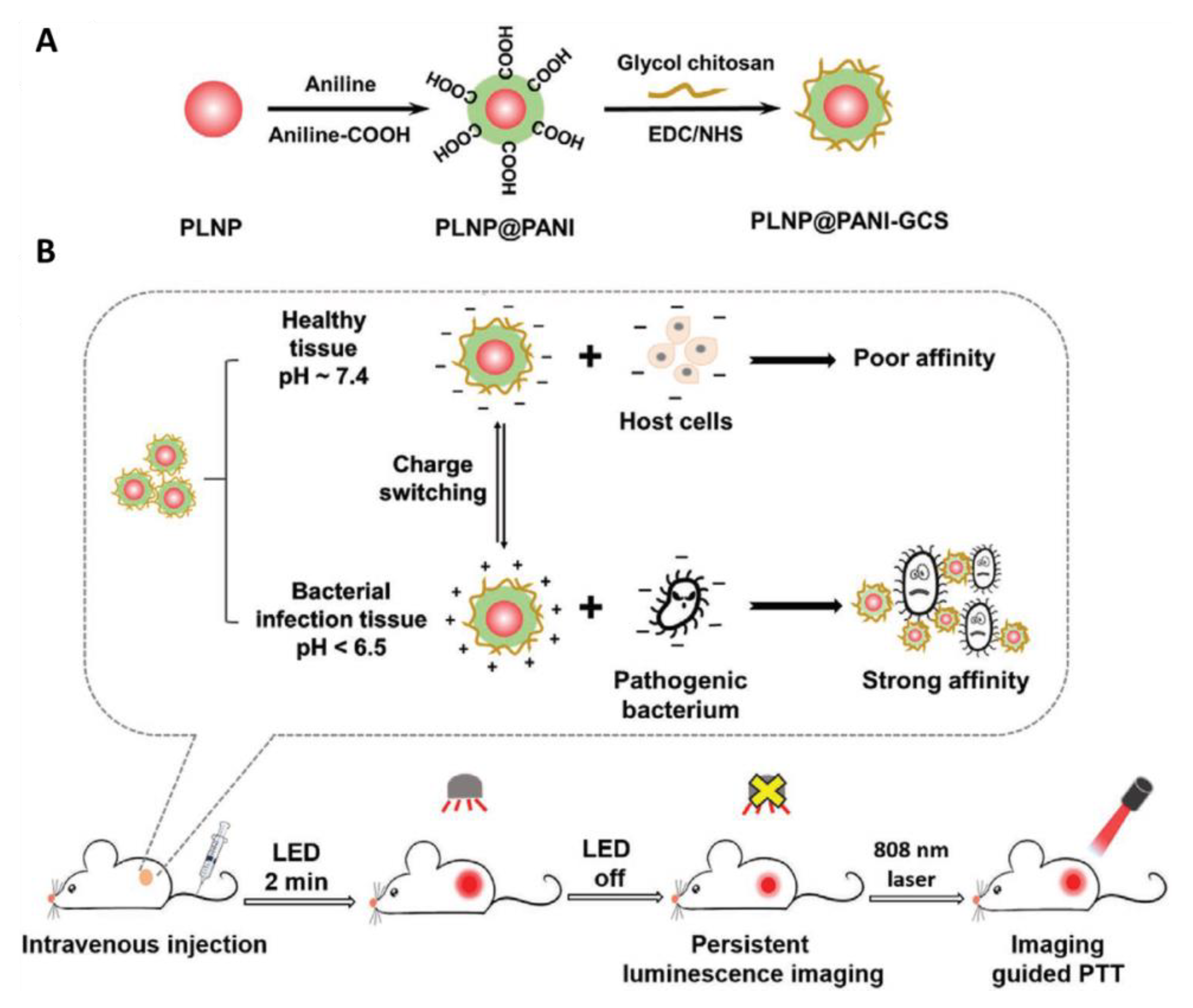 Bioengineering 07 00094 g007