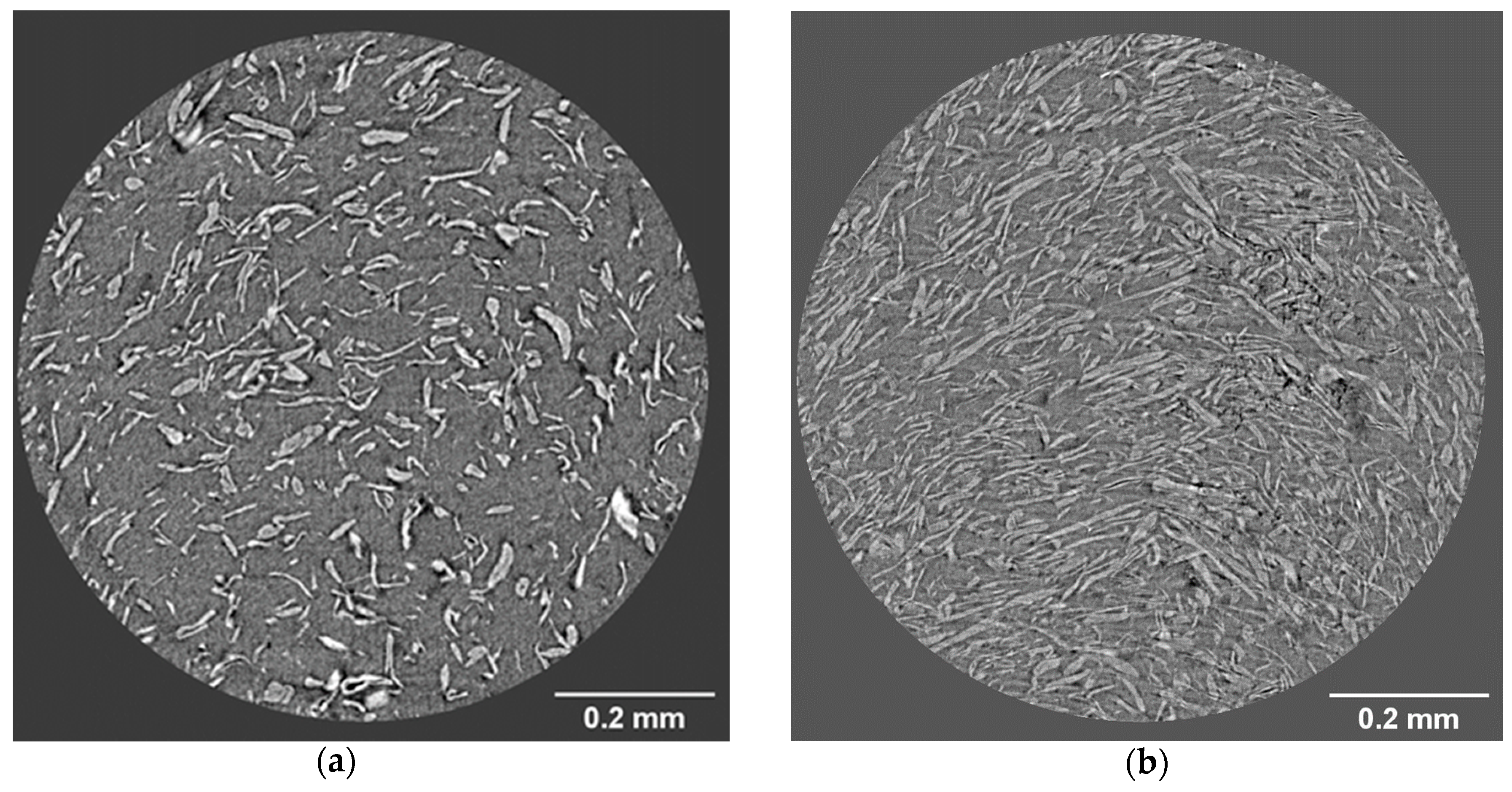 Bioengineering 07 00103 g007 Bioengineering 07 00103 g007