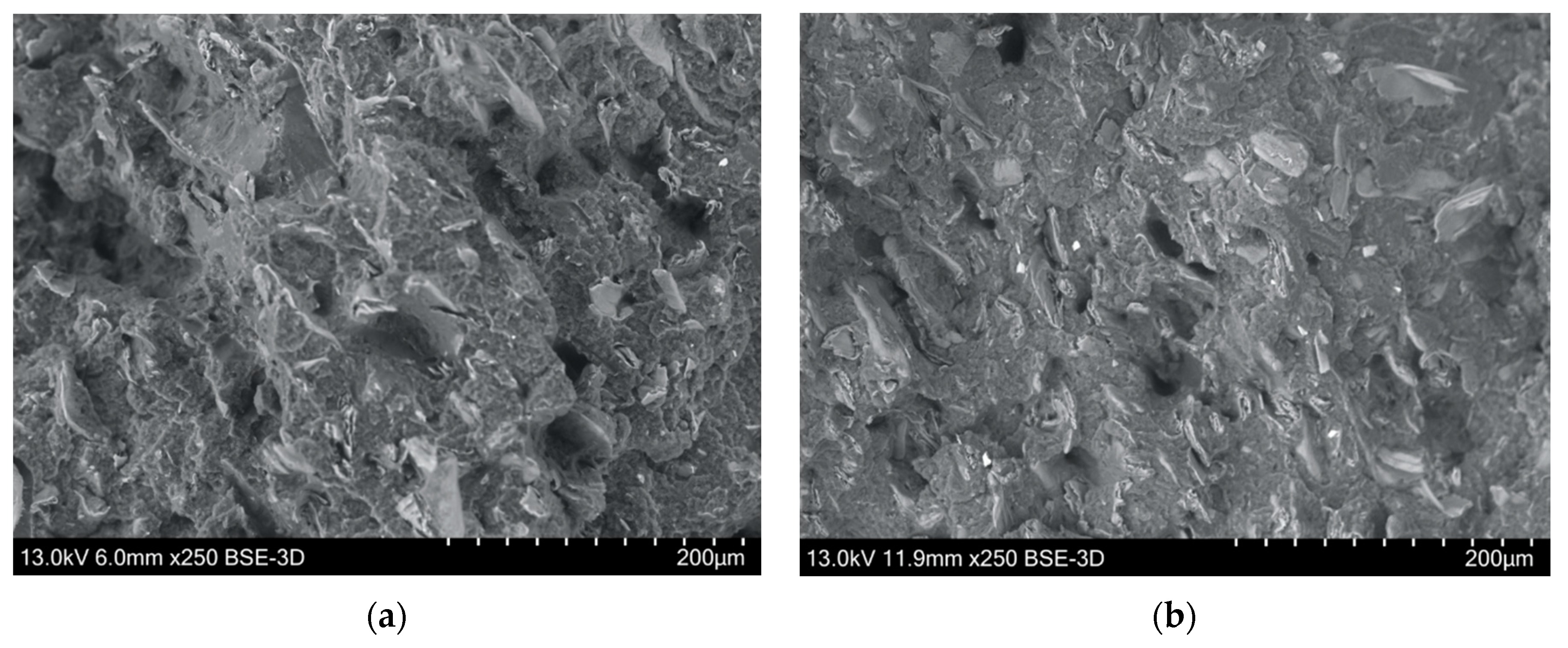 Bioengineering 07 00103 g008 Bioengineering 07 00103 g008