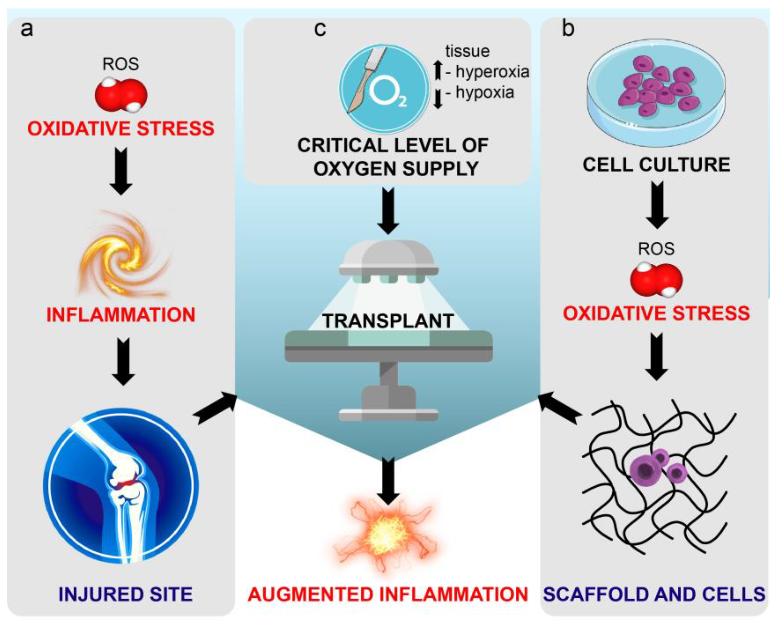 Bioengineering 07 00104 g001