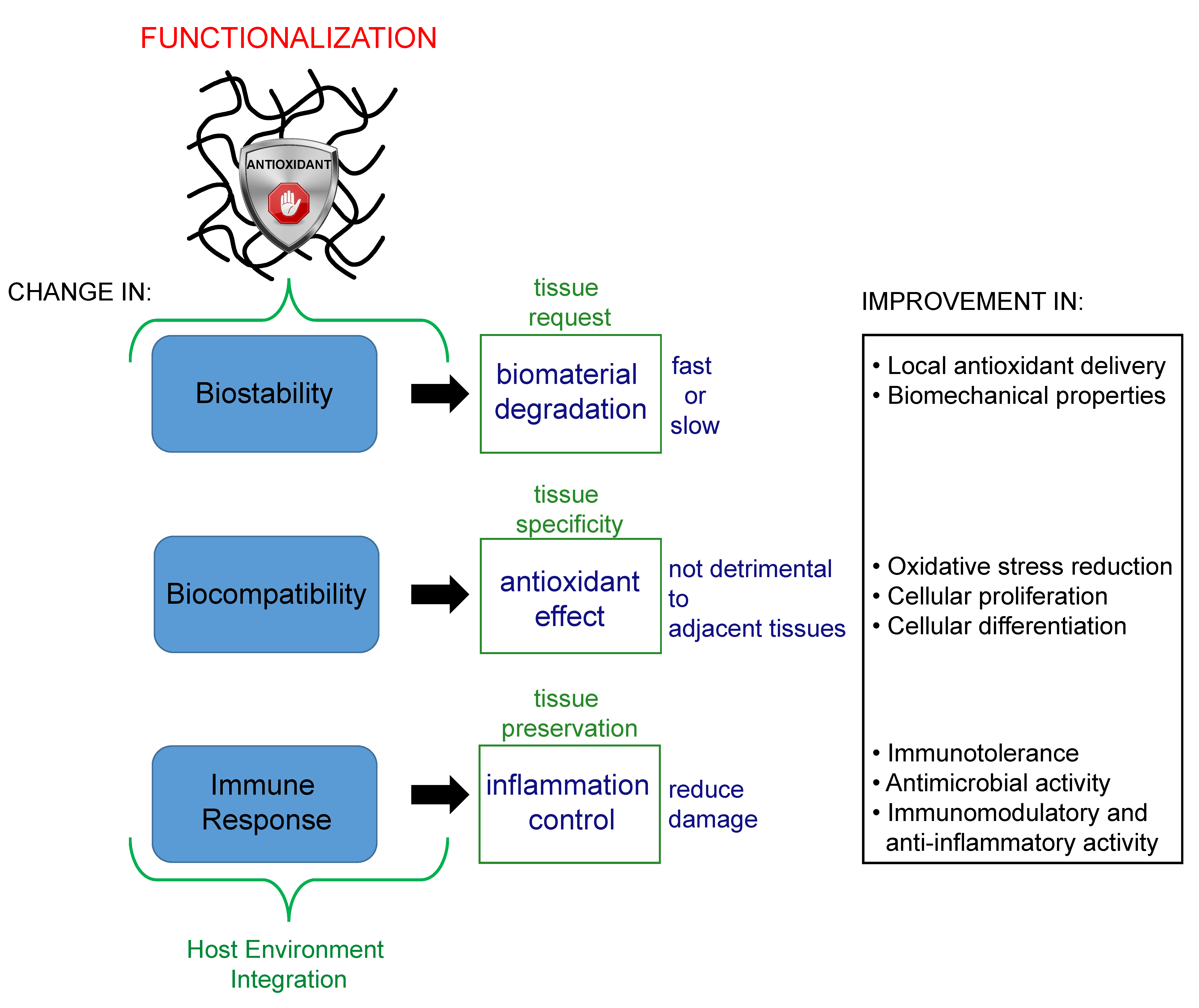 Bioengineering 07 00104 g005
