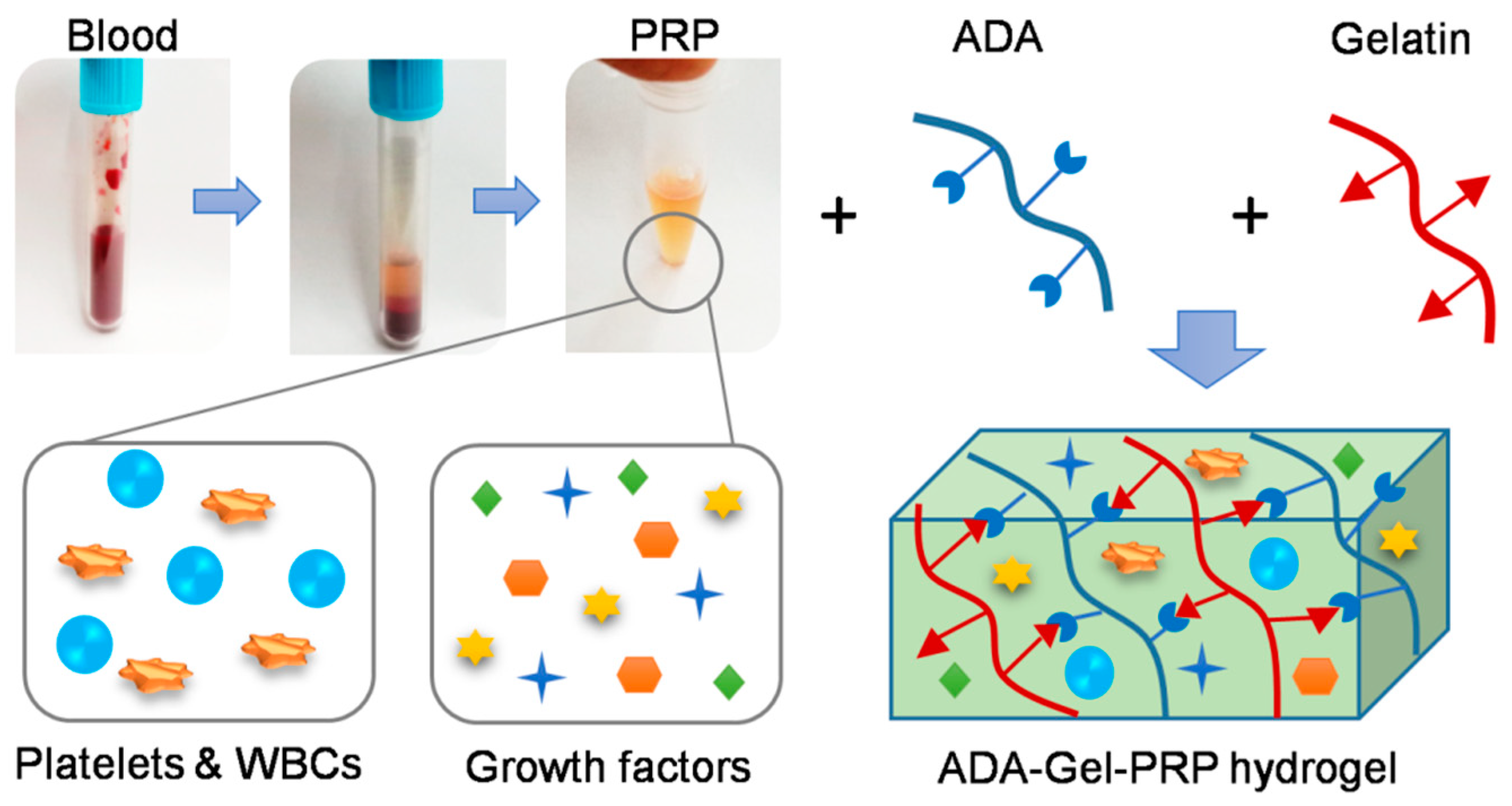 Bioengineering 07 00108 g001