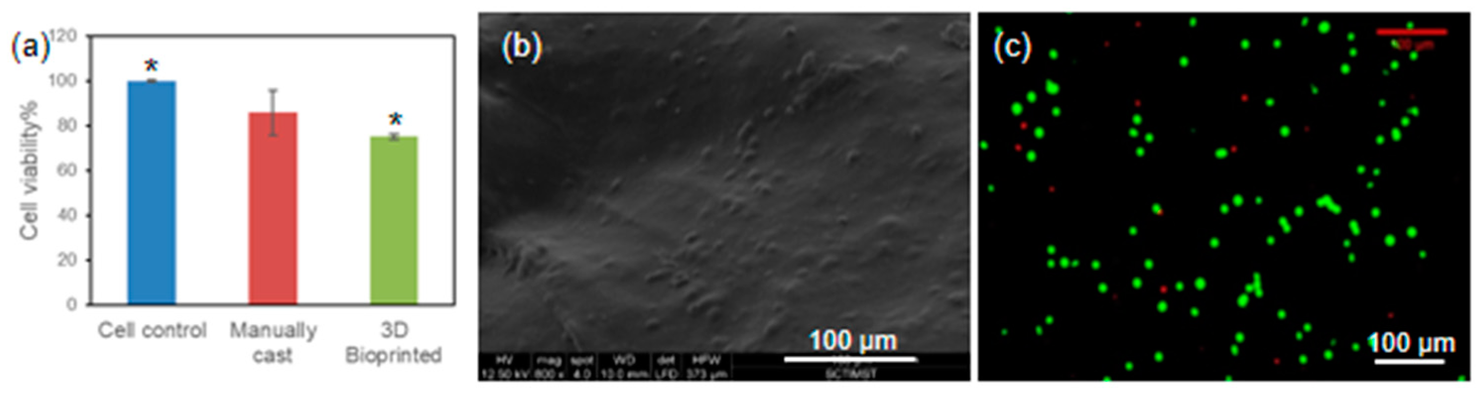 Bioengineering 07 00108 g007