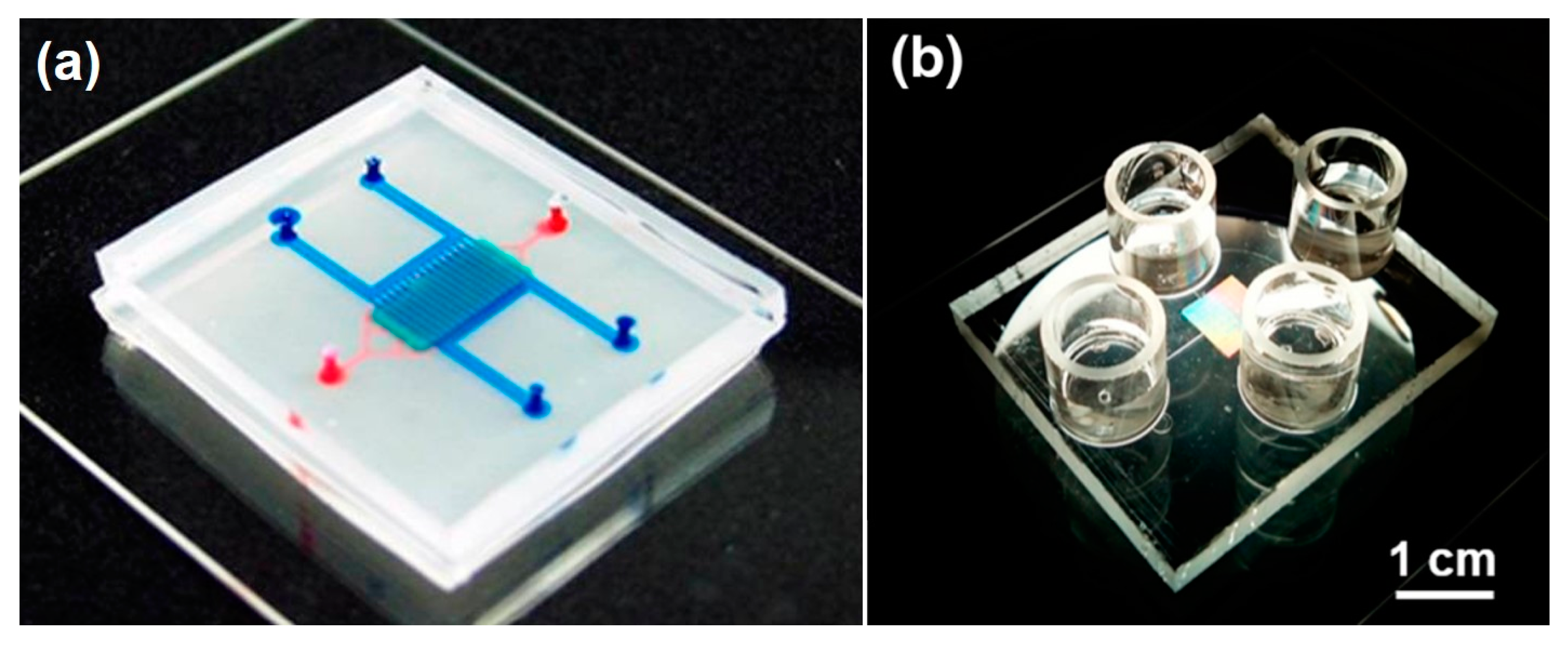 Bioengineering 07 00112 g001