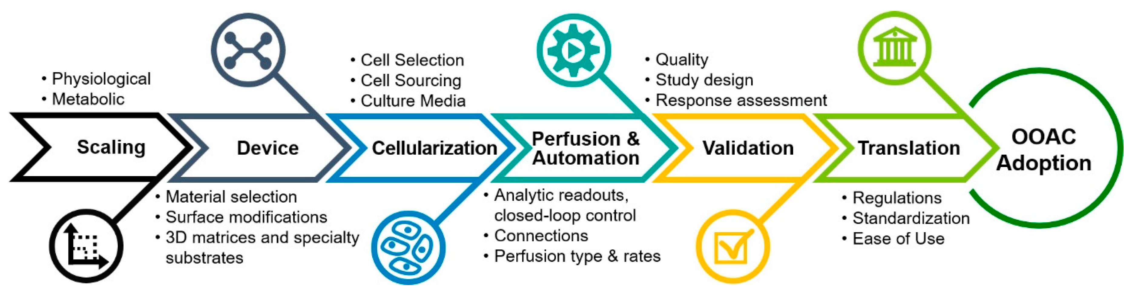 Bioengineering 07 00112 g004
