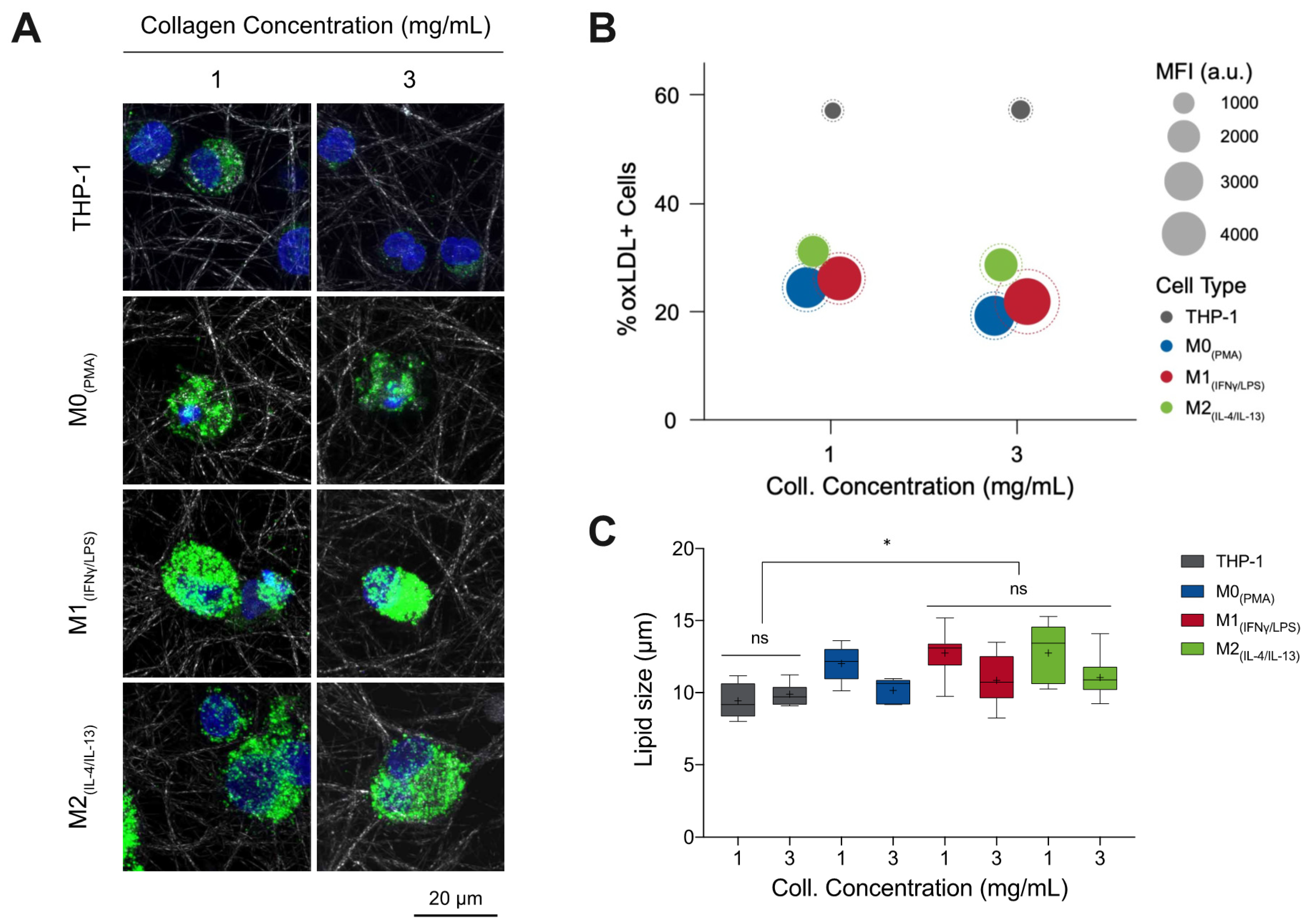 Bioengineering 07 00113 g001