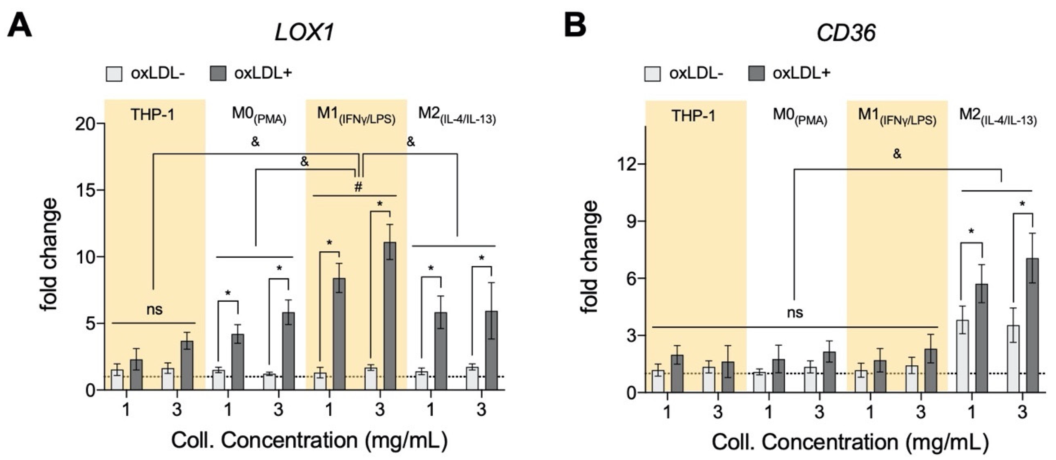 Bioengineering 07 00113 g002