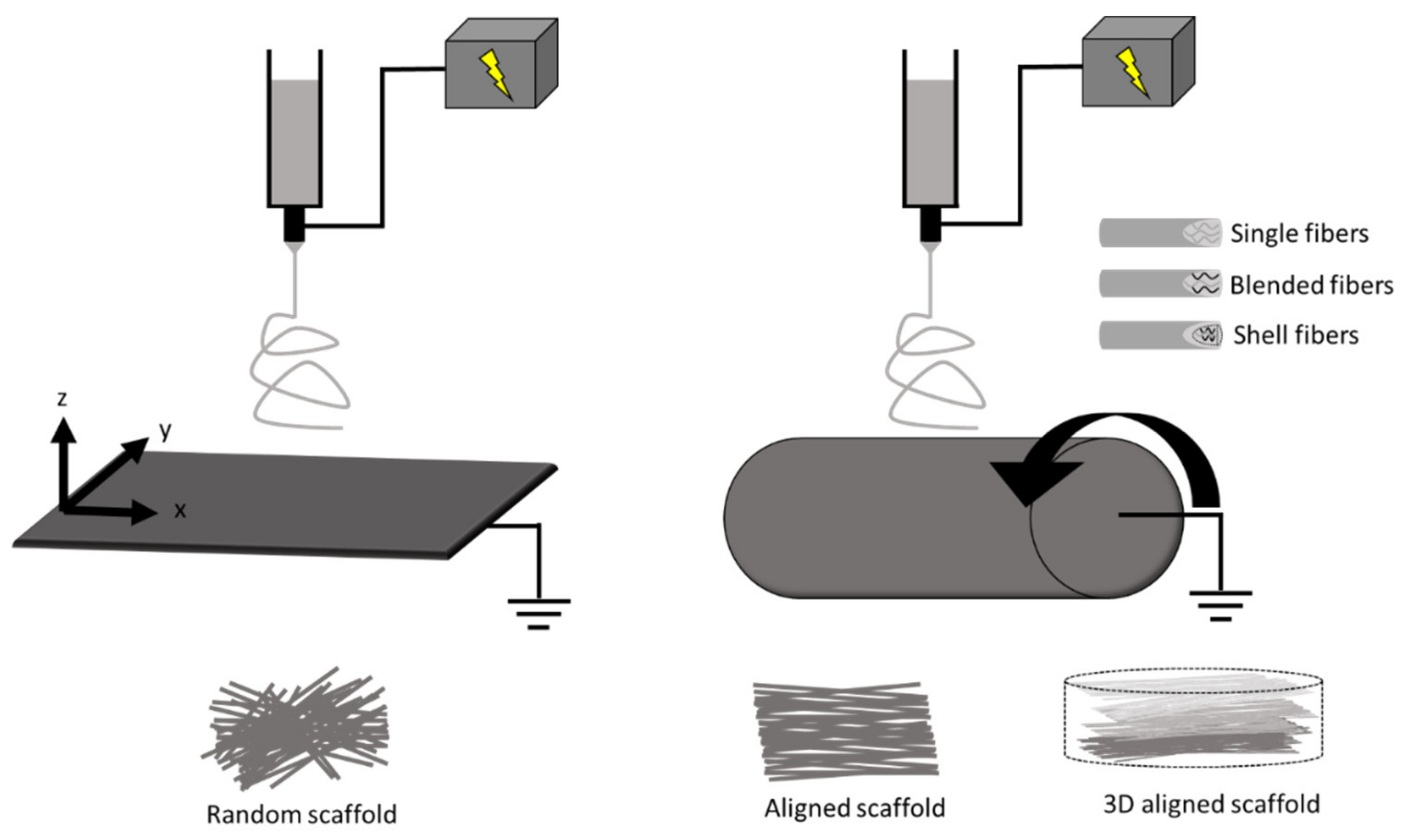 Bioengineering 07 00122 g001