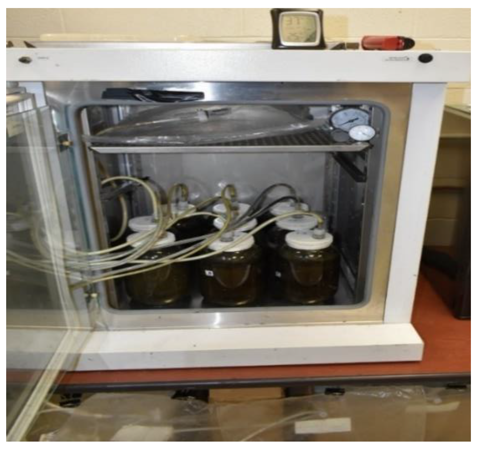 Bioengineering 07 00123 g001