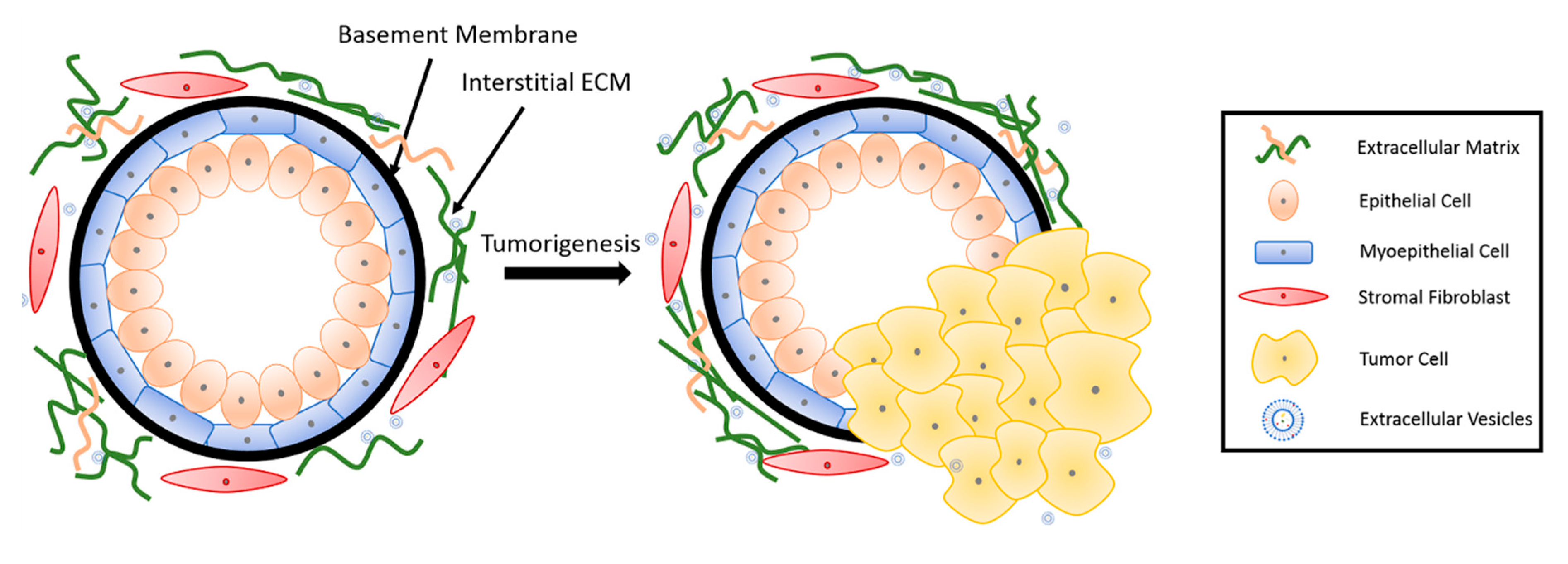 Bioengineering 07 00124 g001