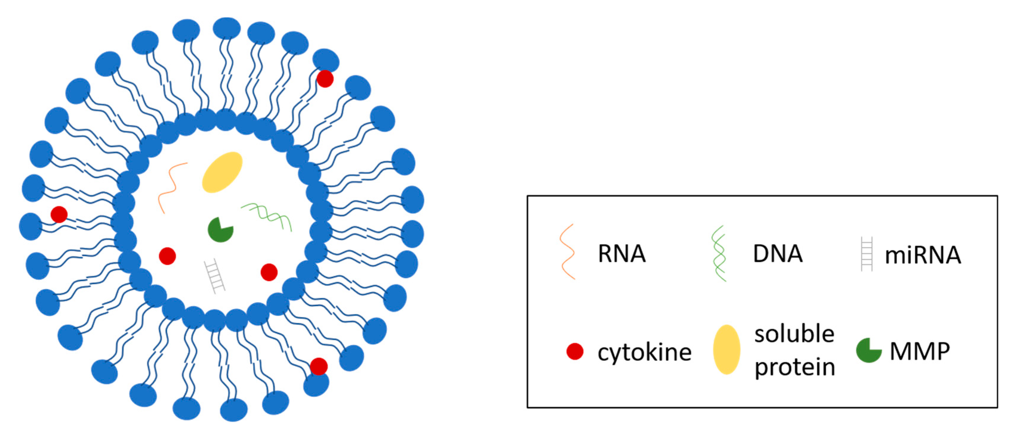 Bioengineering 07 00124 g002