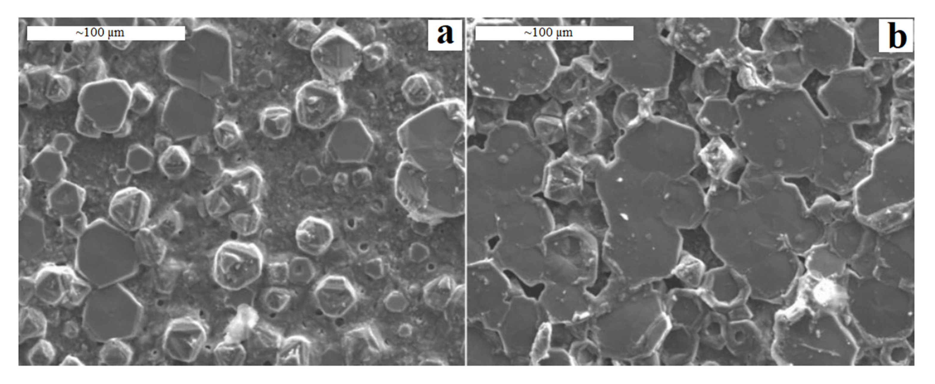 Bioengineering 07 00127 g004