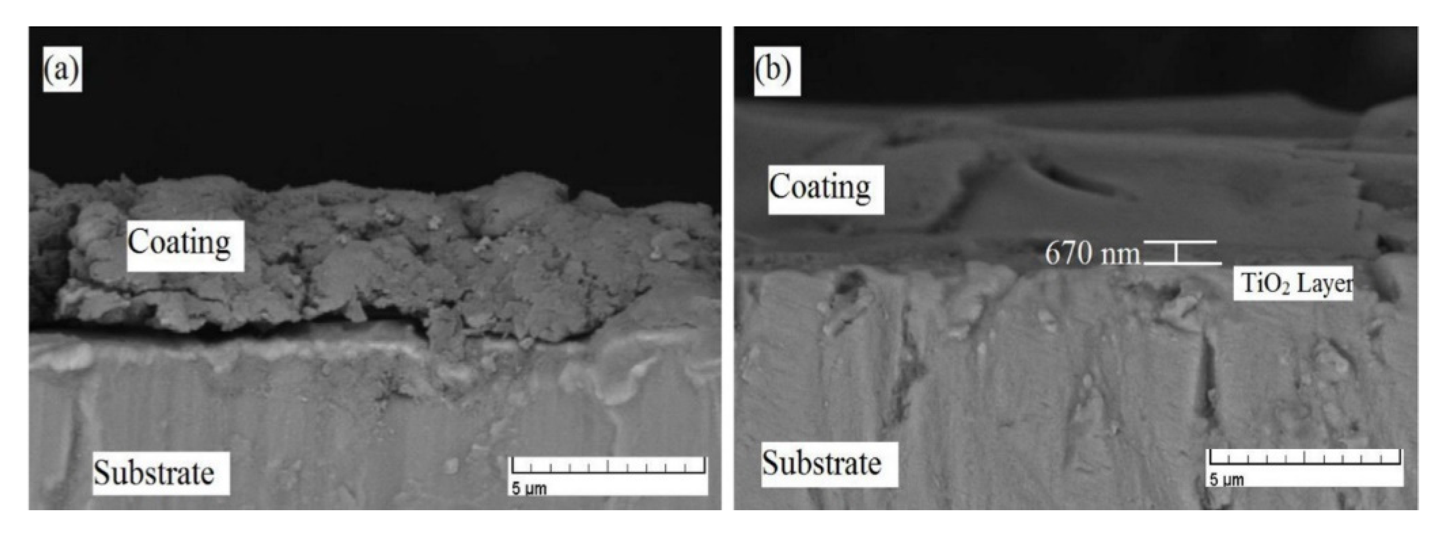 Bioengineering 07 00127 g005