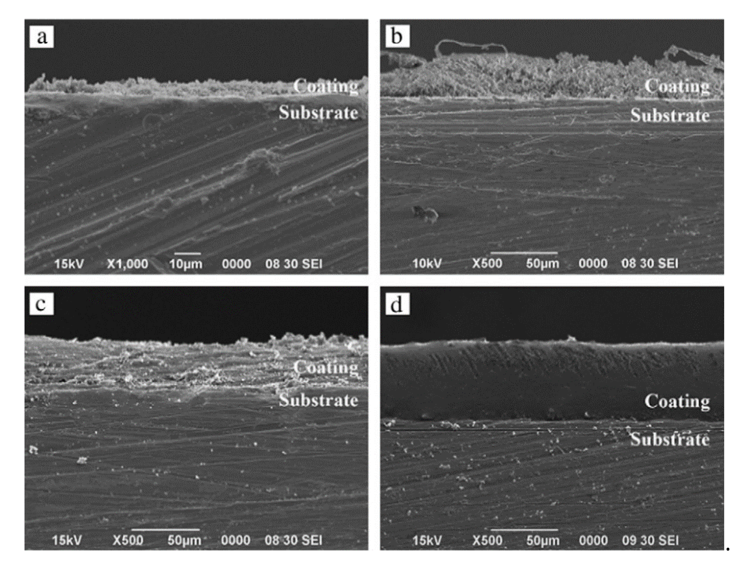 Bioengineering 07 00127 g008