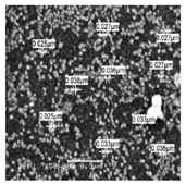 Bioengineering 07 00129 i004