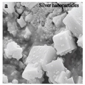 Bioengineering 07 00129 i006