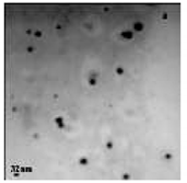 Bioengineering 07 00129 i008