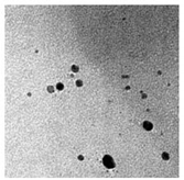 Bioengineering 07 00129 i010