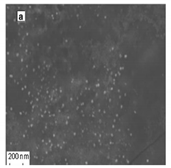 Bioengineering 07 00129 i012