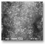 Bioengineering 07 00129 i014