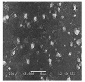 Bioengineering 07 00129 i016